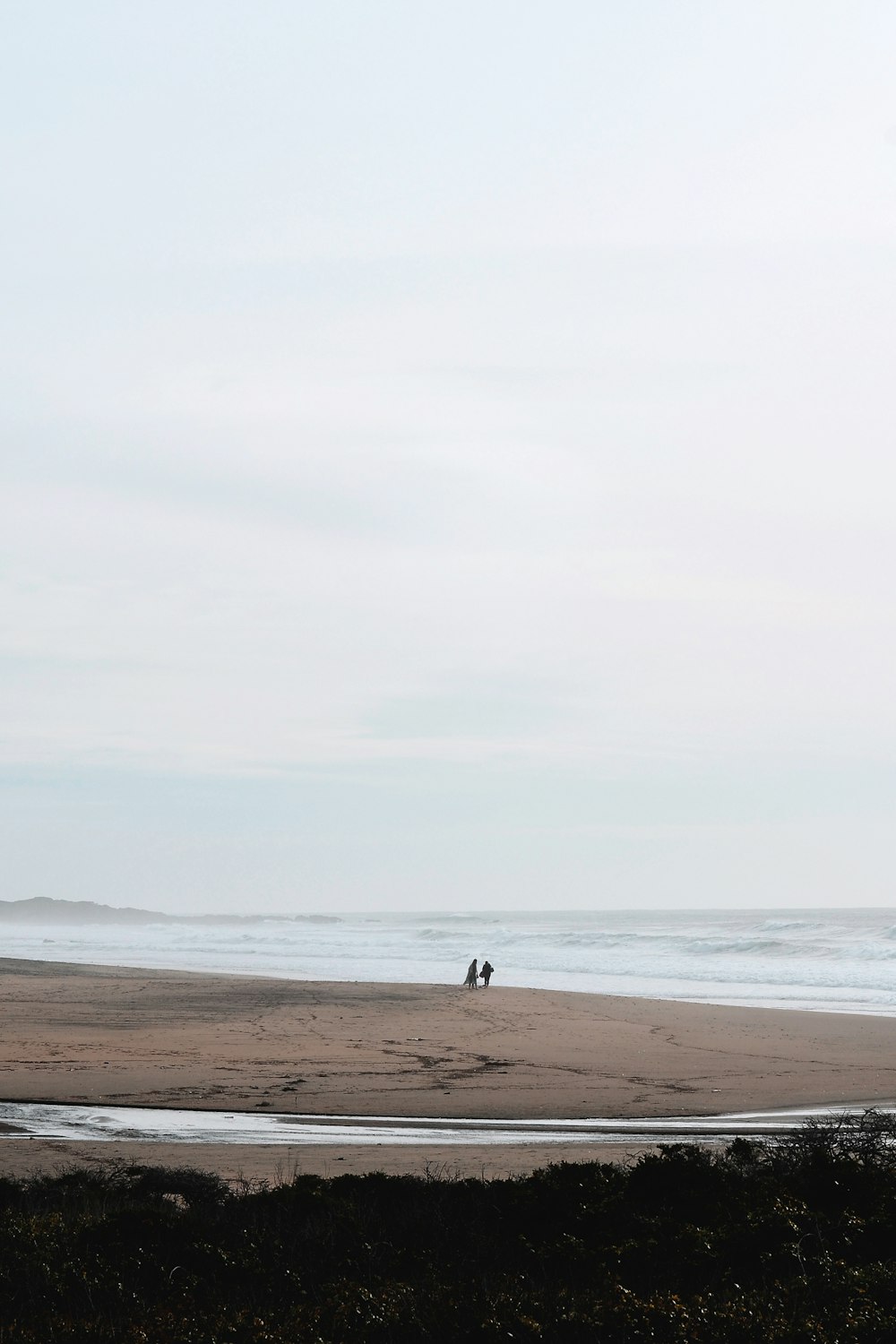 a couple of people on a beach