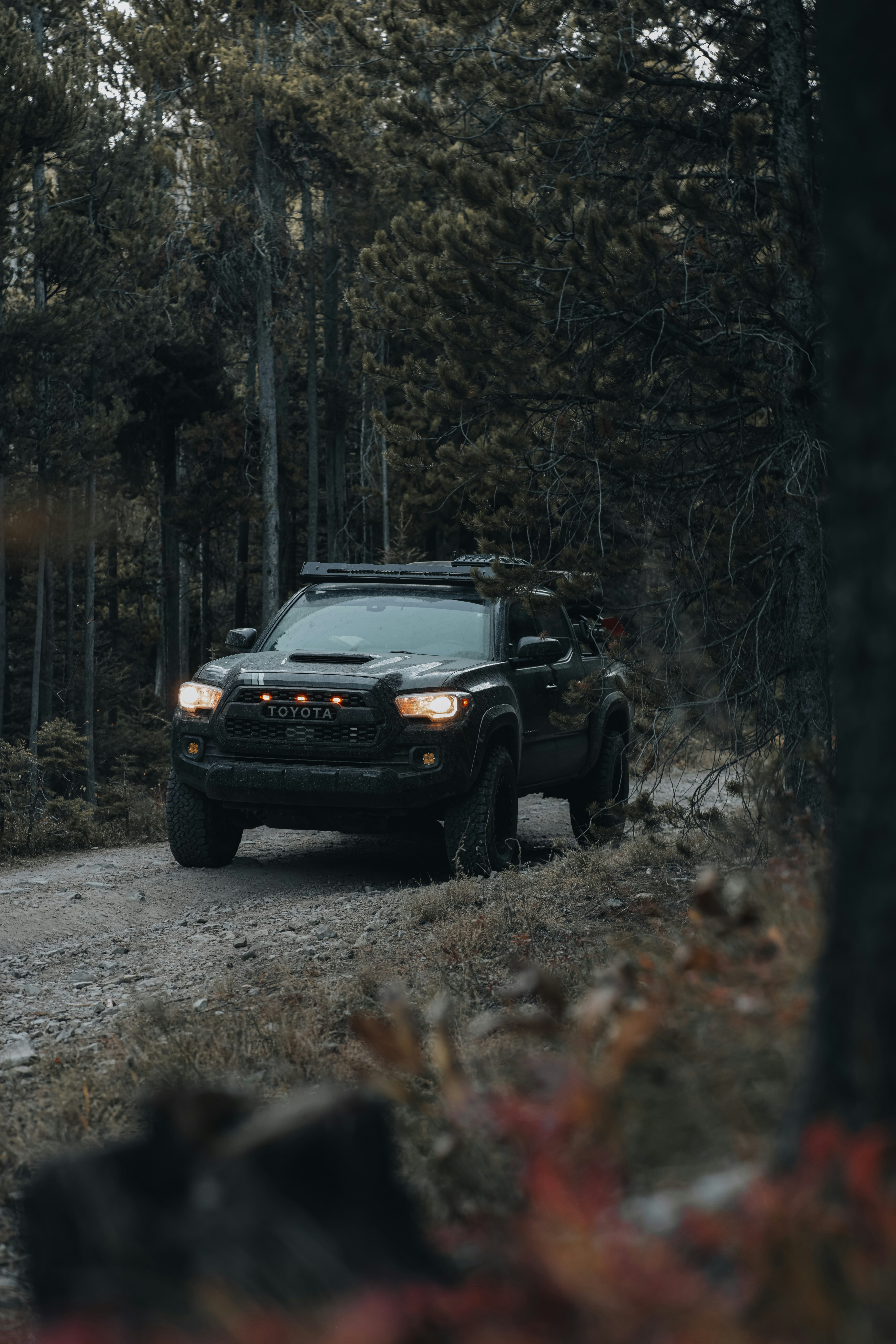 Photo by isaactmitchell