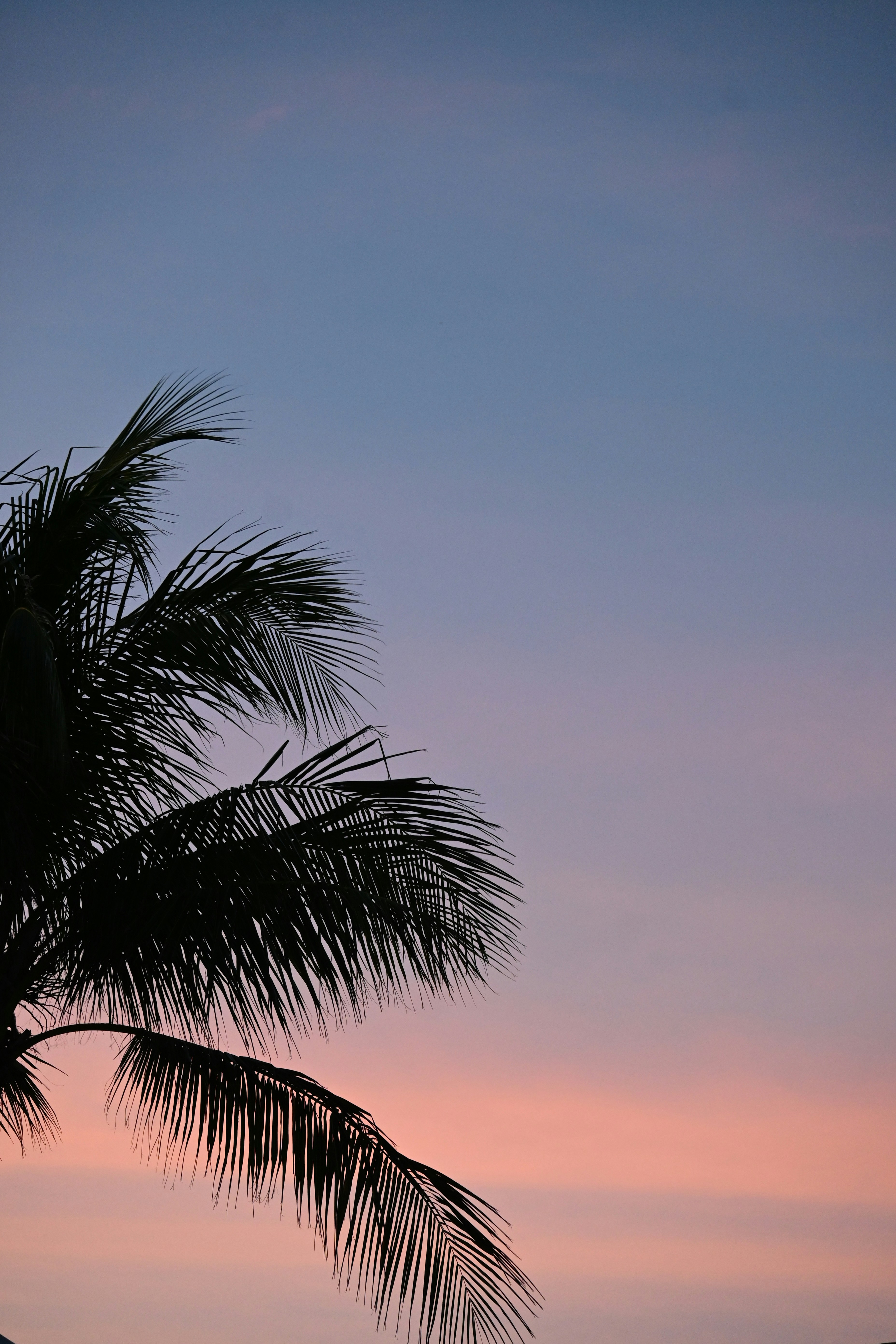 Photo by vijetha_surakanti