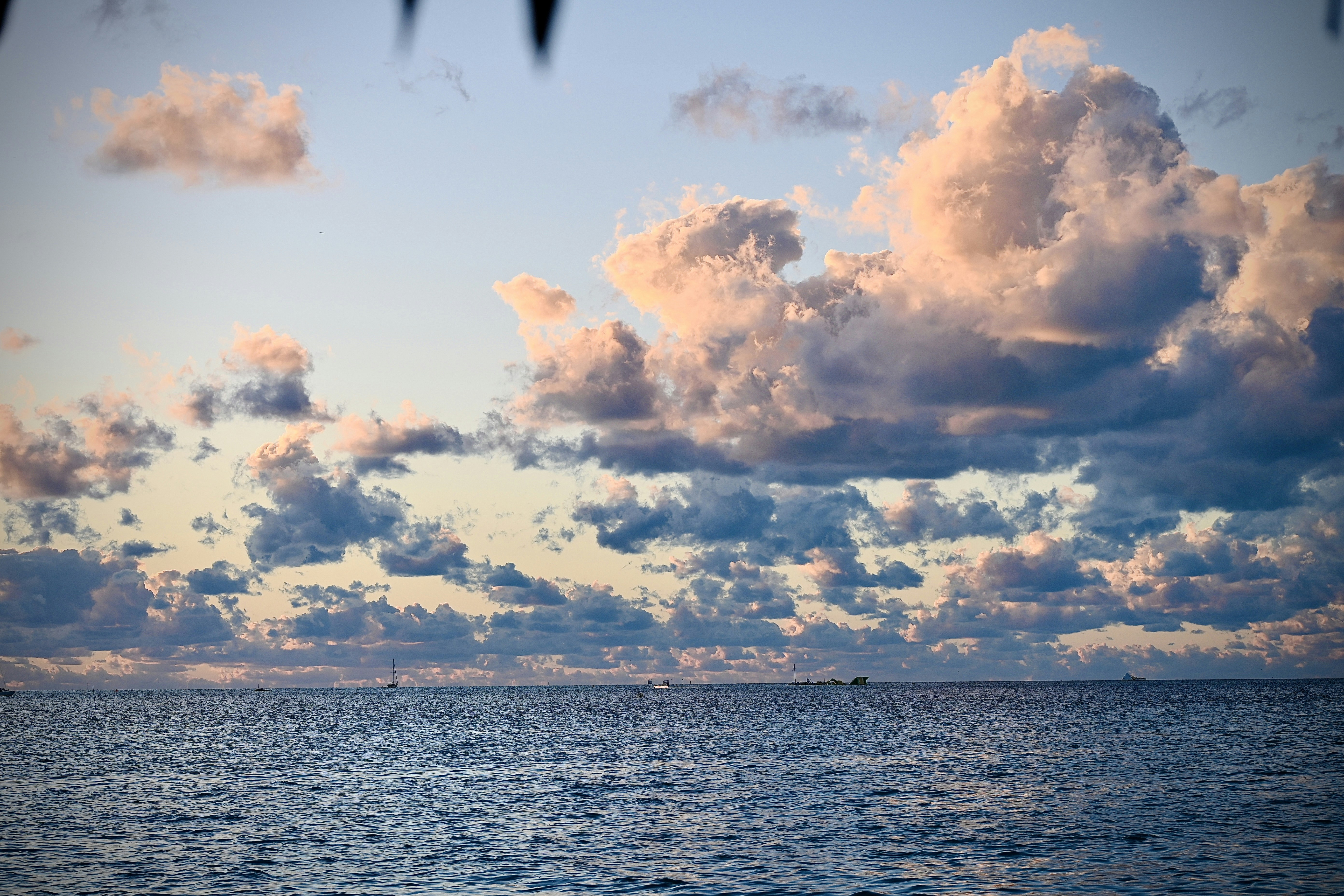 Photo by vijetha_surakanti