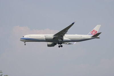 A commercial airplane with a light-colored fuselage is flying in a clear sky. The plane features distinct branding on the tail, which showcases a floral design. The aircraft's landing gear is deployed, suggesting it is about to land or is taking off.