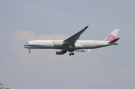 A commercial airplane with a light-colored fuselage is flying in a clear sky. The plane features distinct branding on the tail, which showcases a floral design. The aircraft's landing gear is deployed, suggesting it is about to land or is taking off.