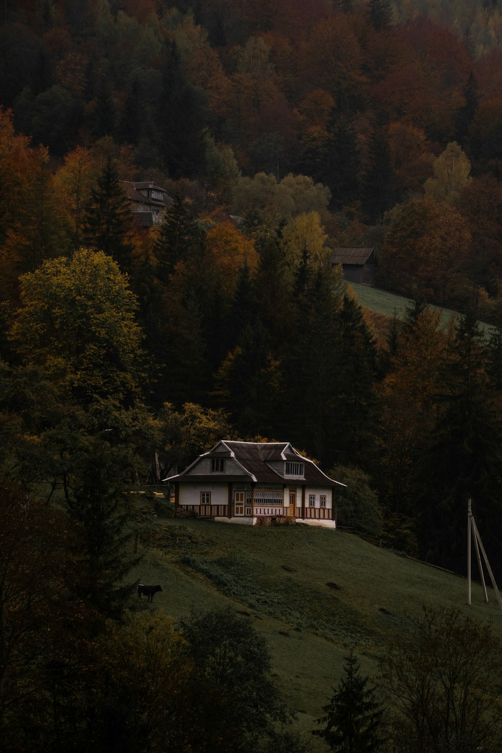 a house in a wooded area