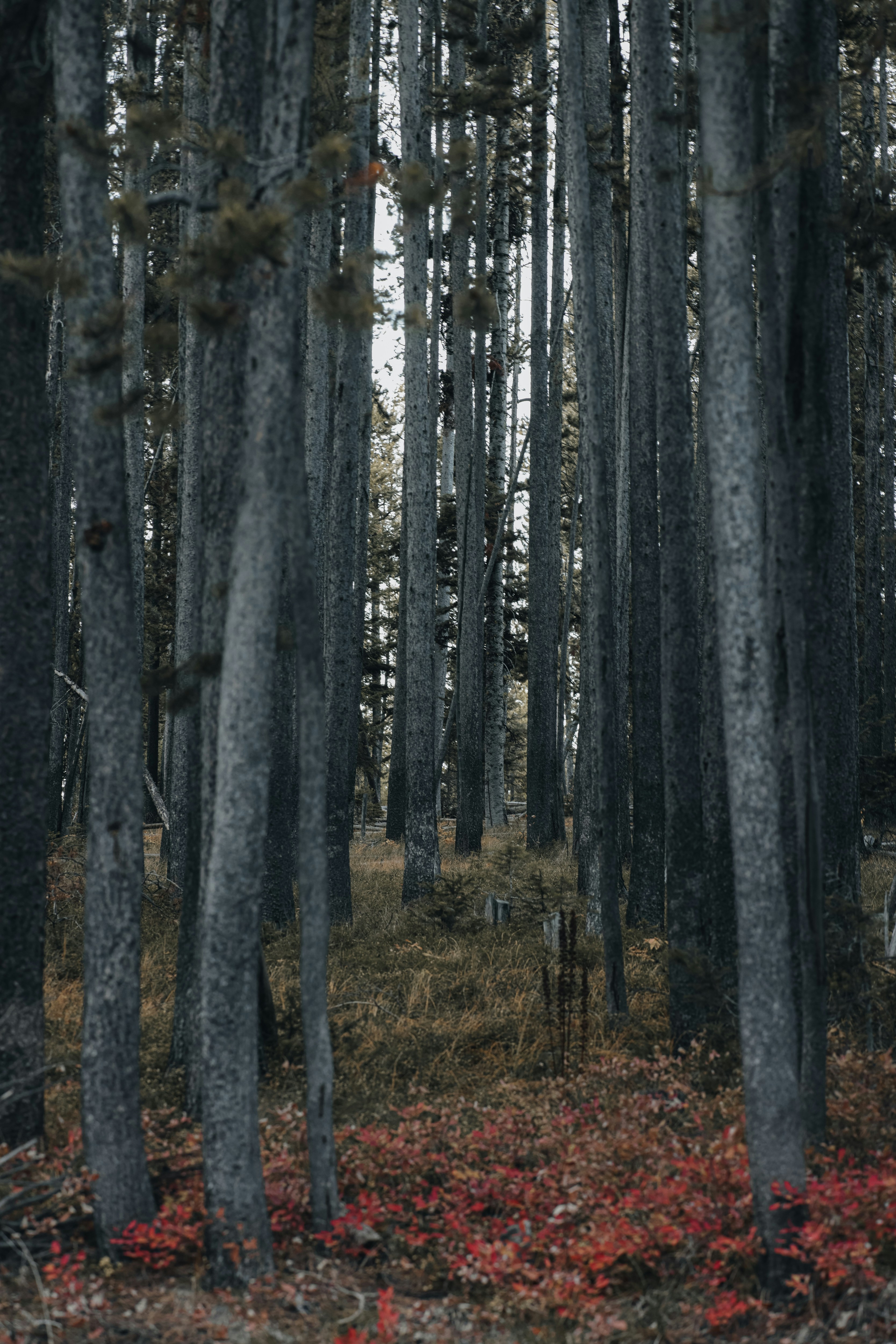 Photo by isaactmitchell