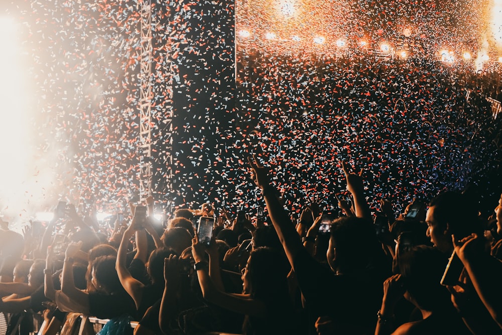 a crowd of people at a concert