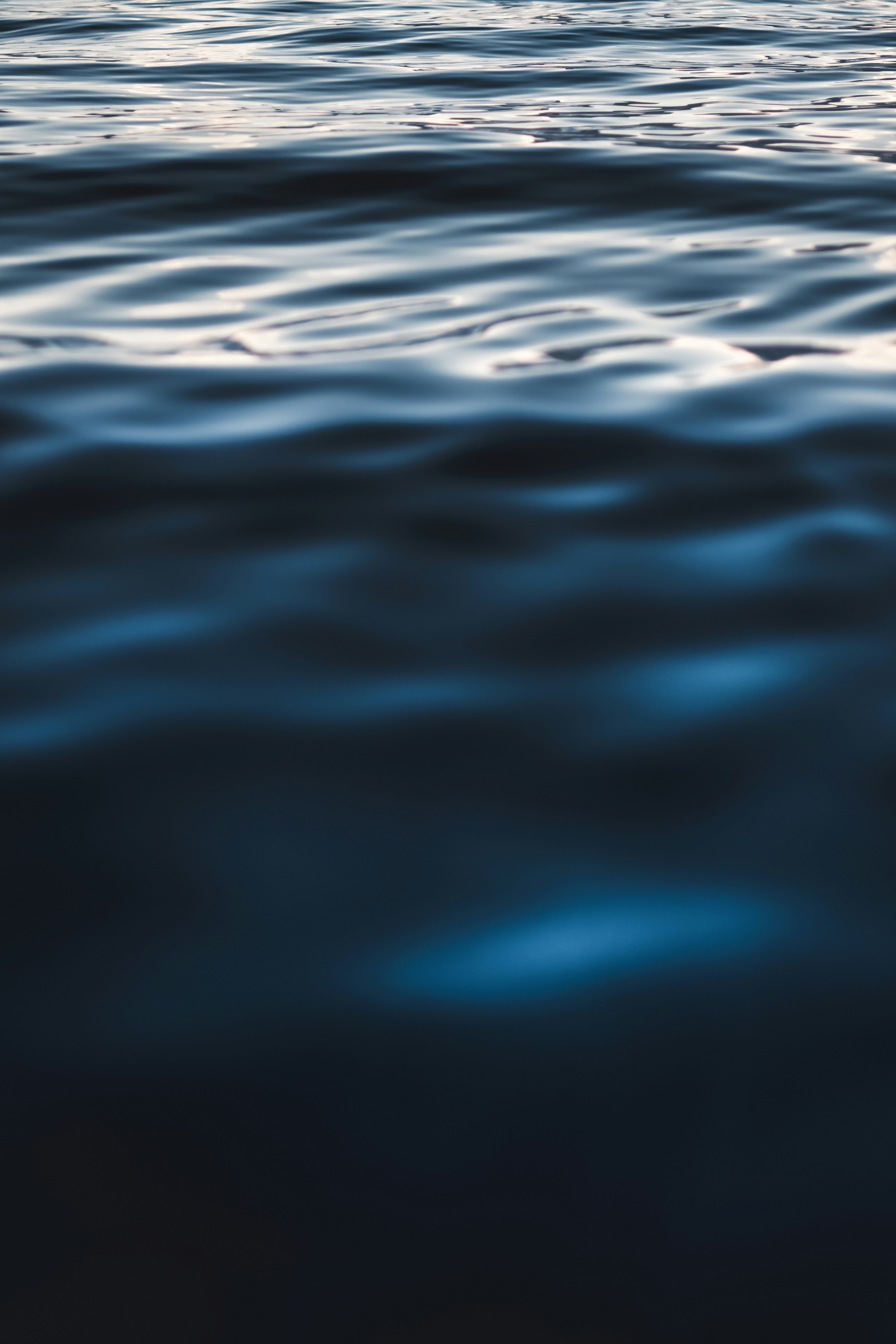 Photo by timmossholder