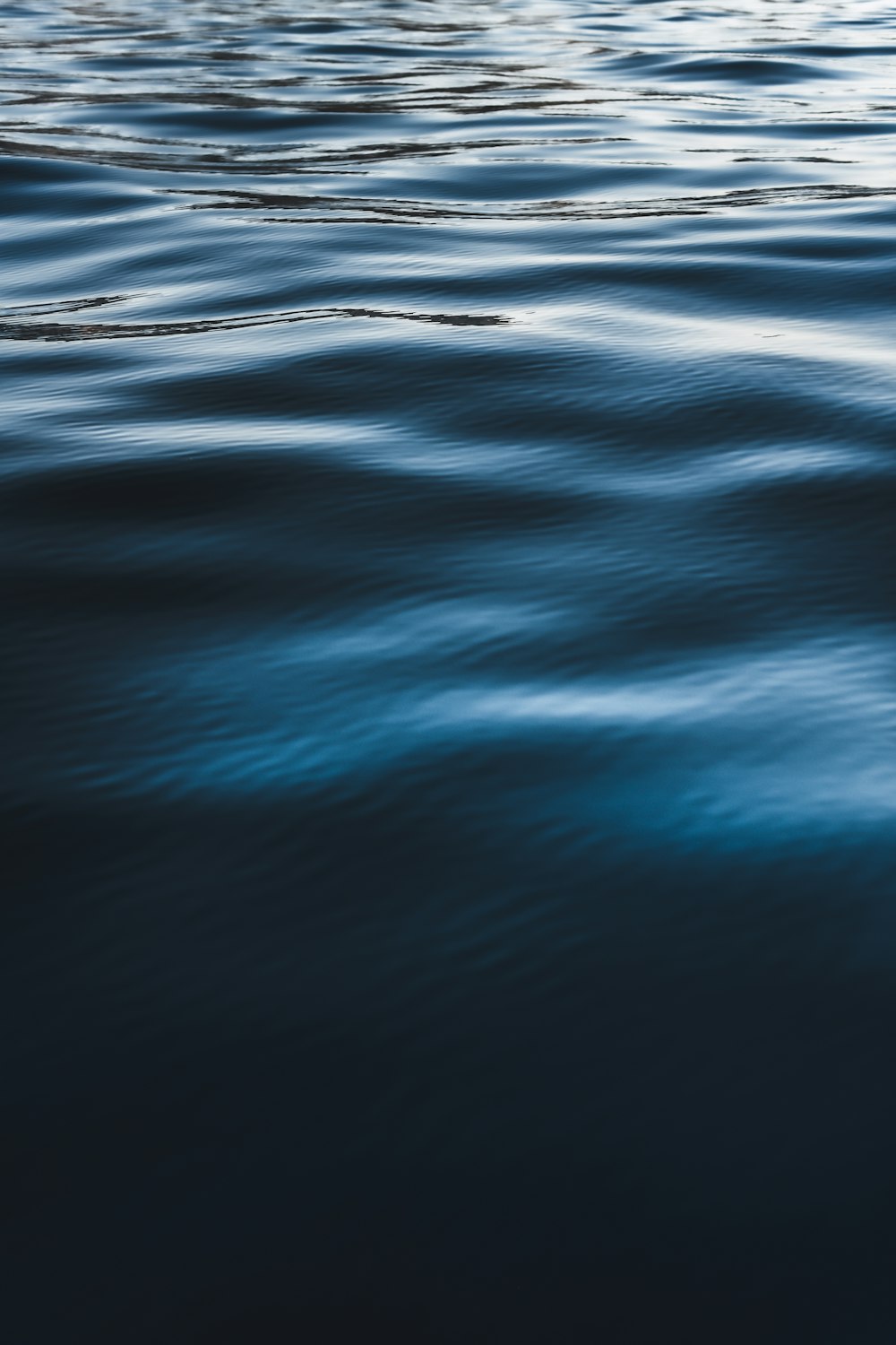 a body of water with ripples