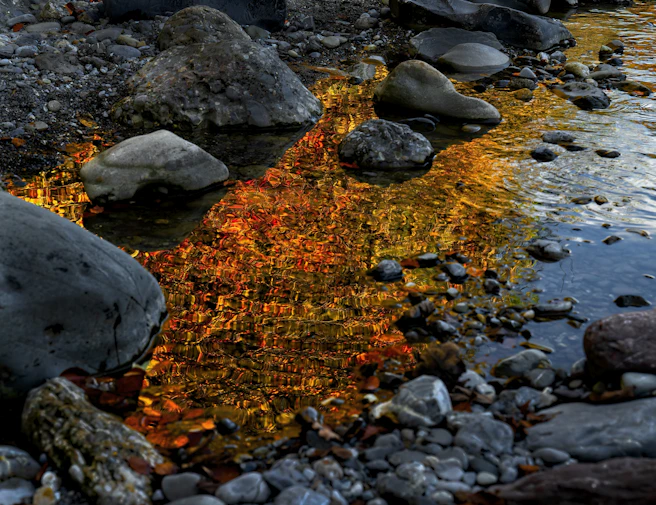 a stream of water with rocks
