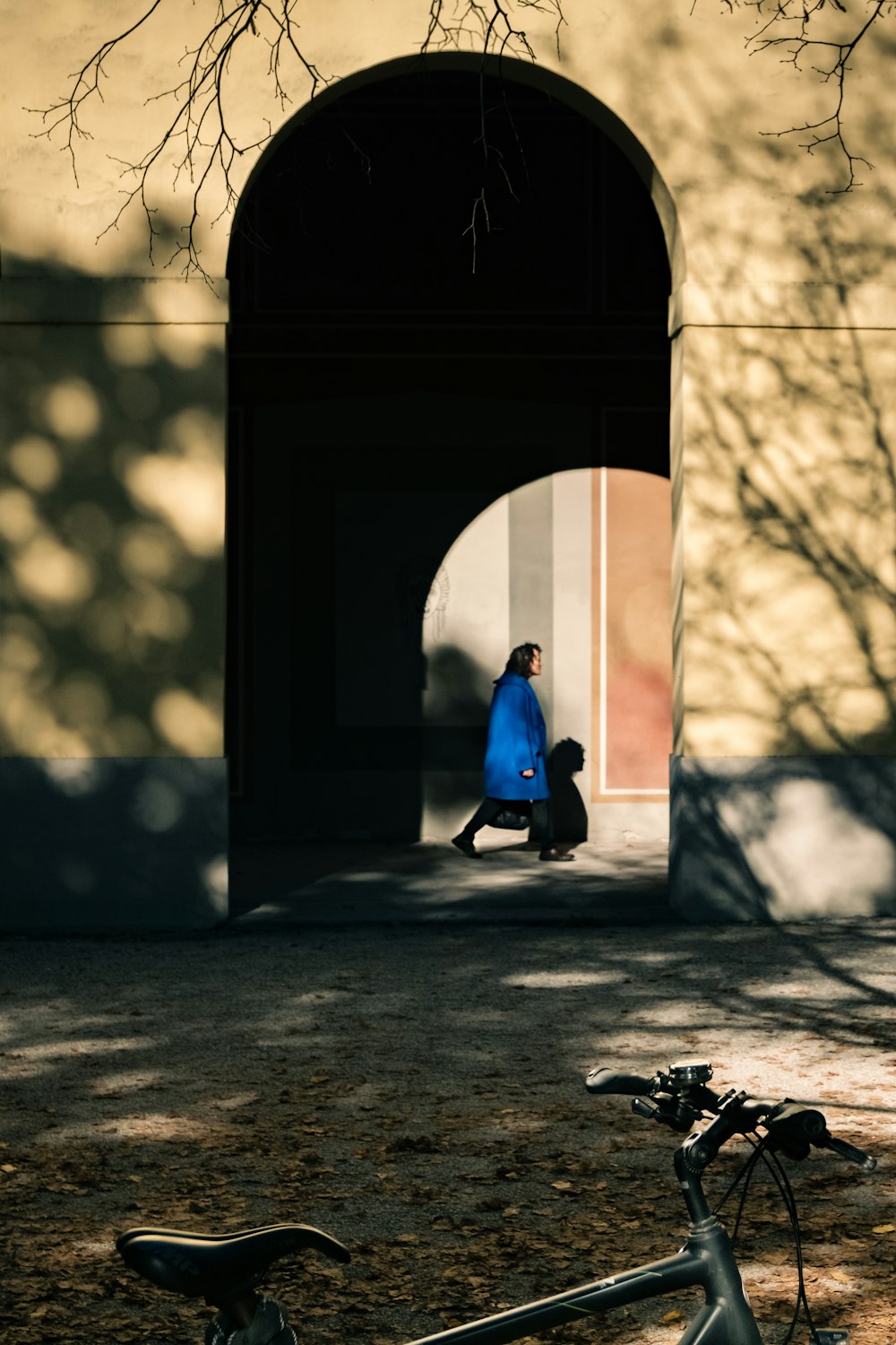 une personne promenant un chien