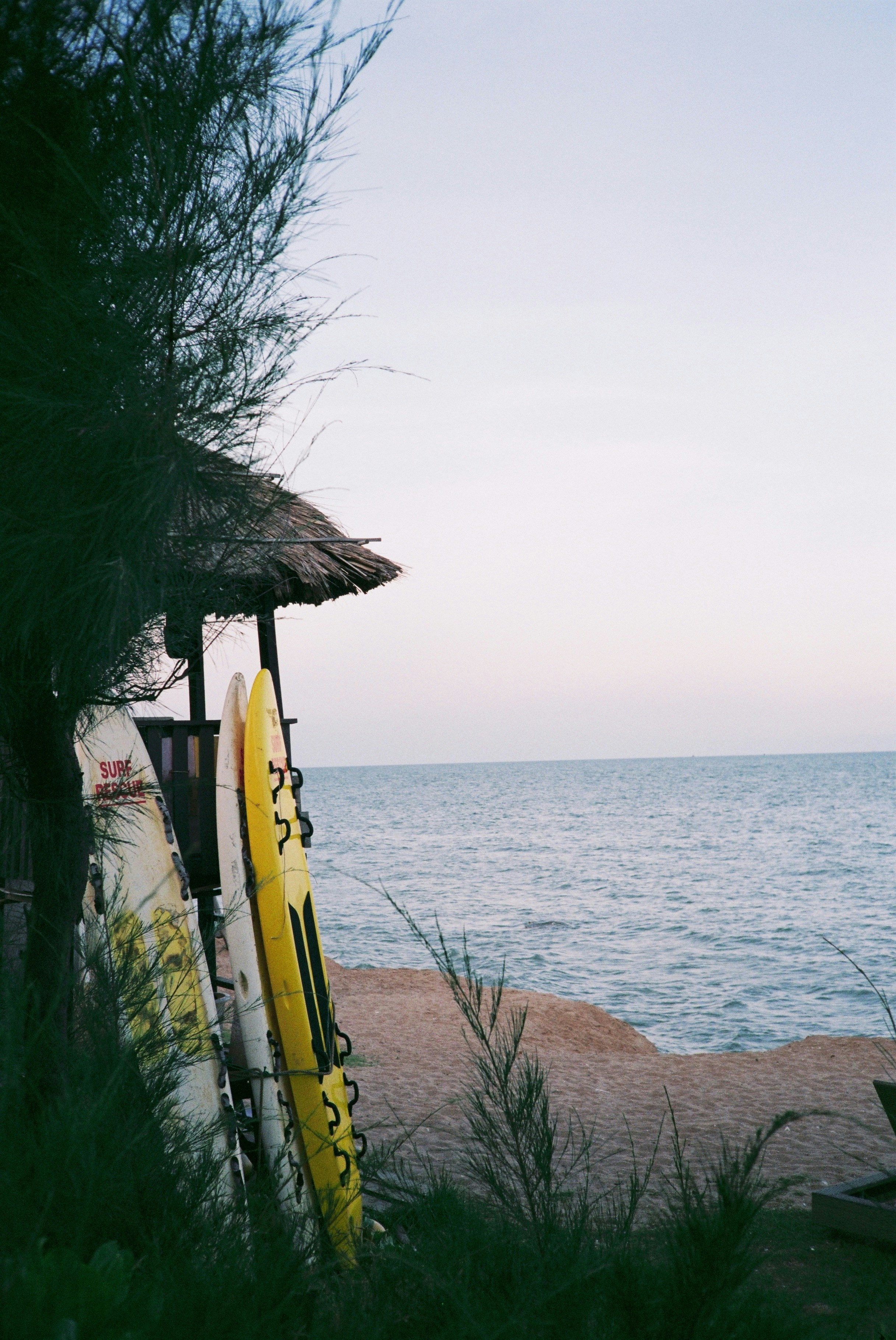 A yellow surfboard sits on the side of a beach photo – Free Vũng tàu ...
