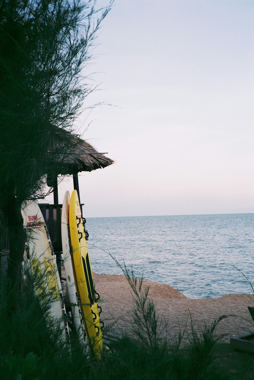 a yellow surfboard sits on the side of a beach