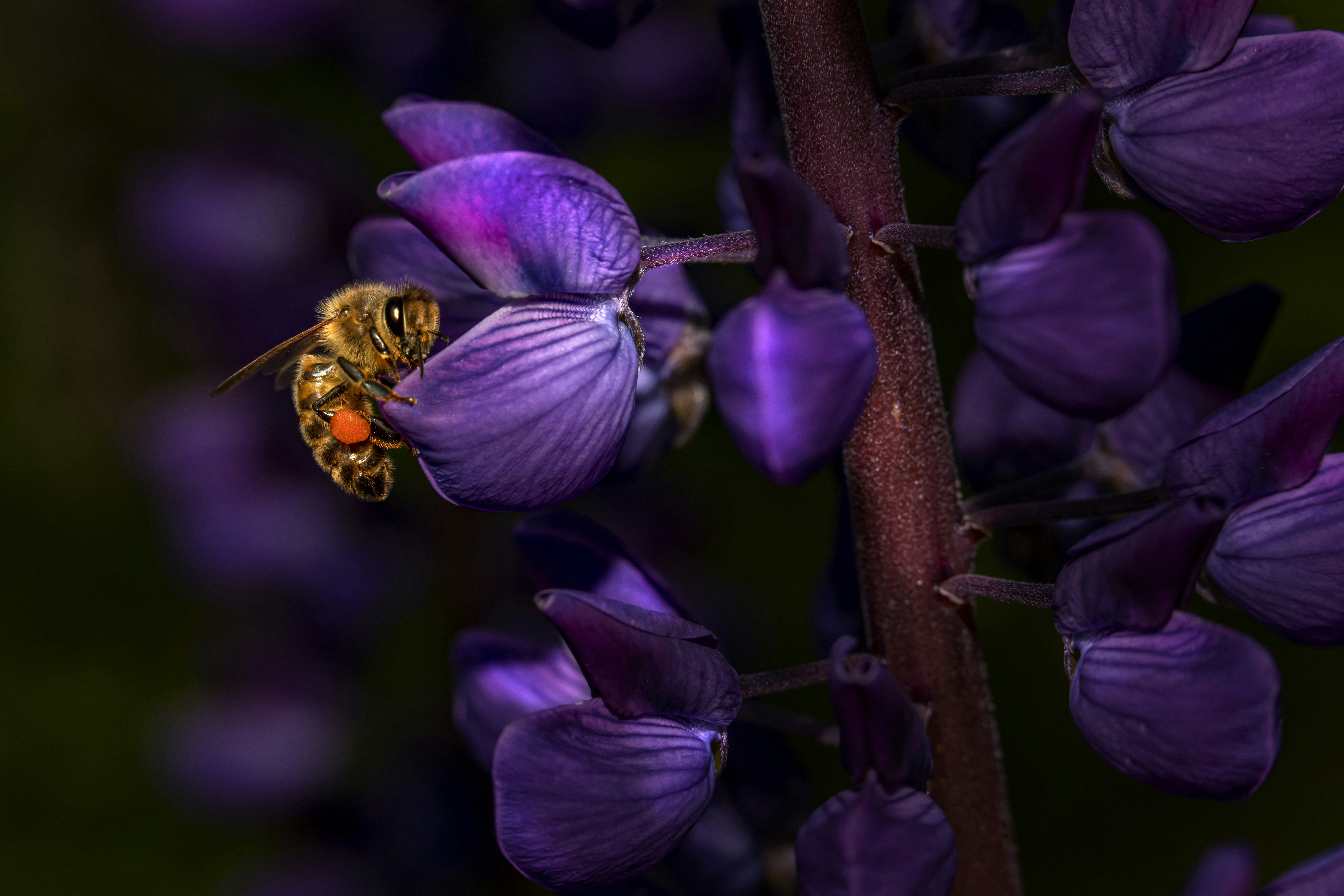 Photo by erik_karits
