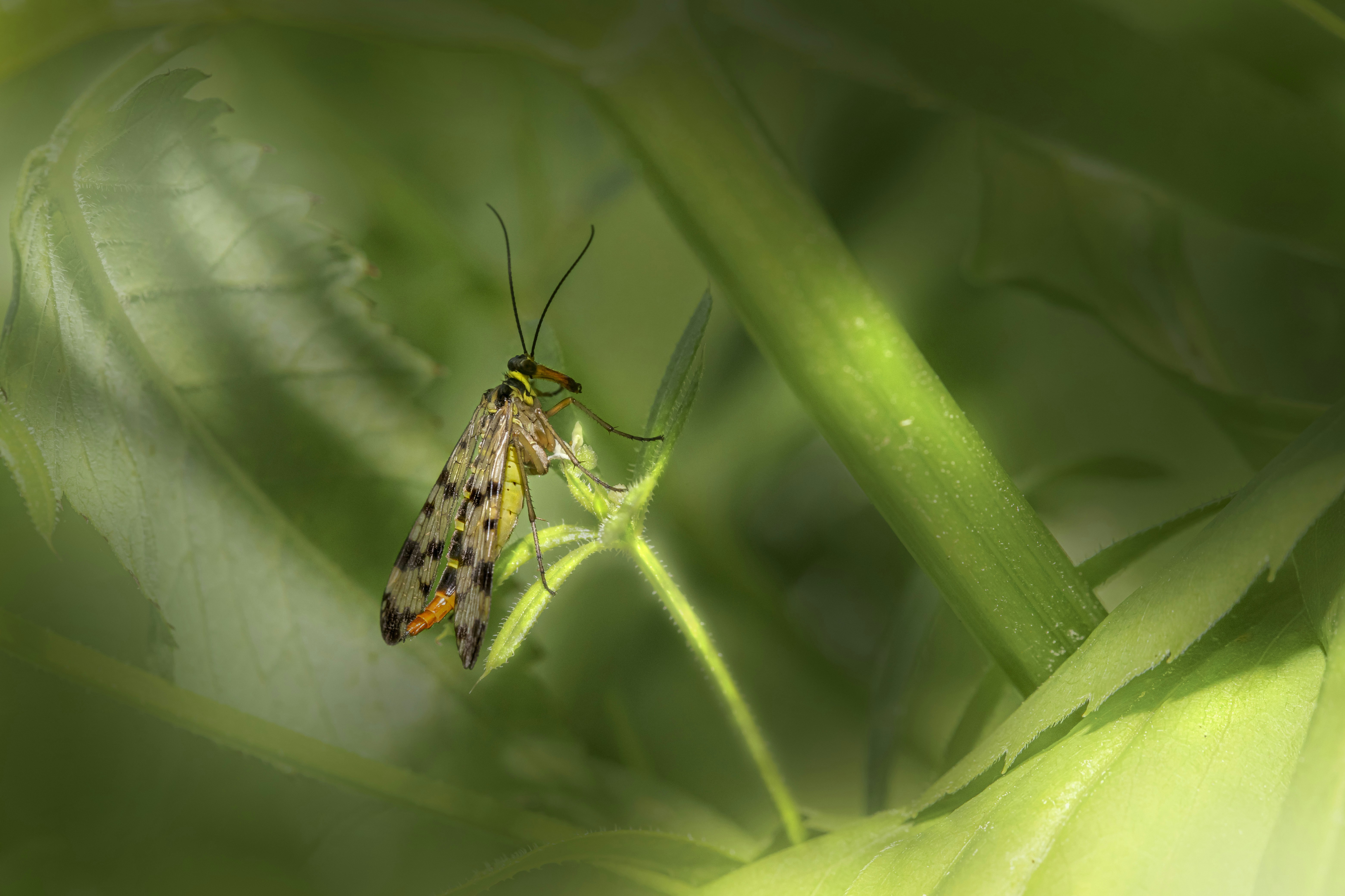 Photo by erik_karits