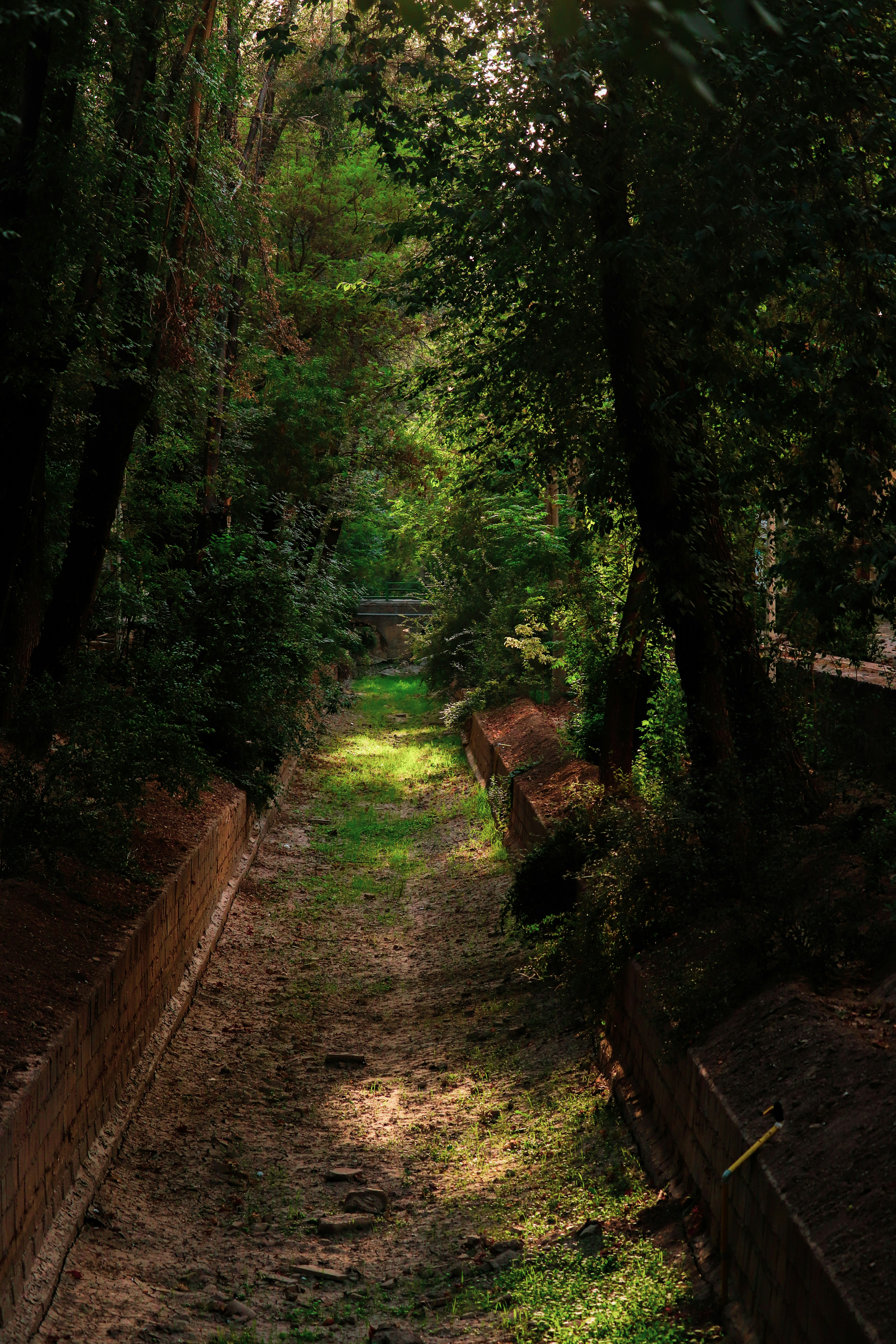 Photo by sinabahar76