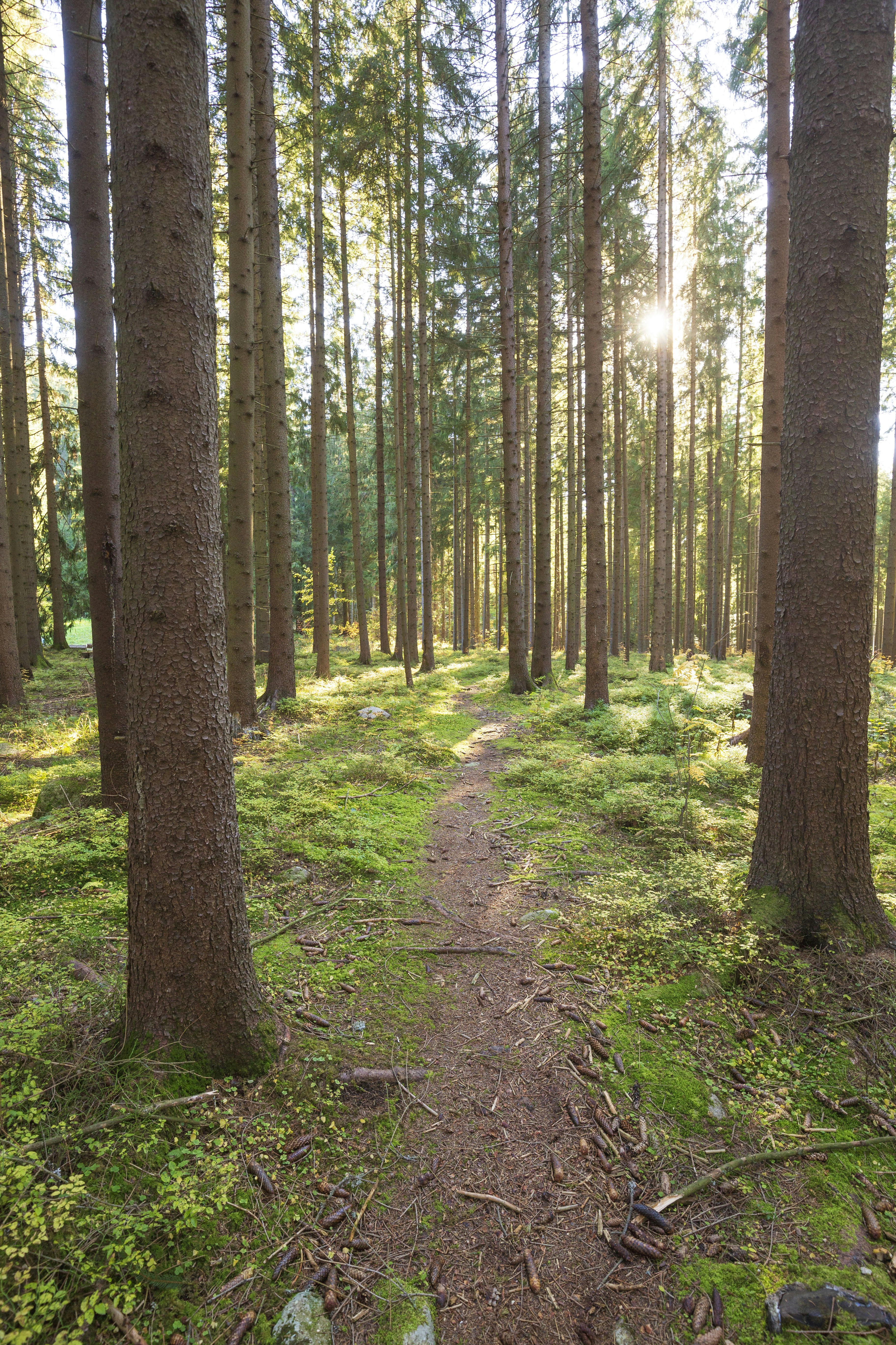 Photo by tomasbartko