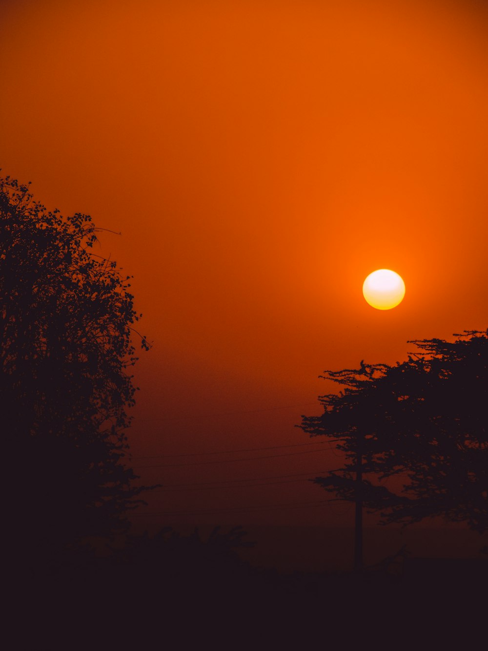 Un tramonto sugli alberi