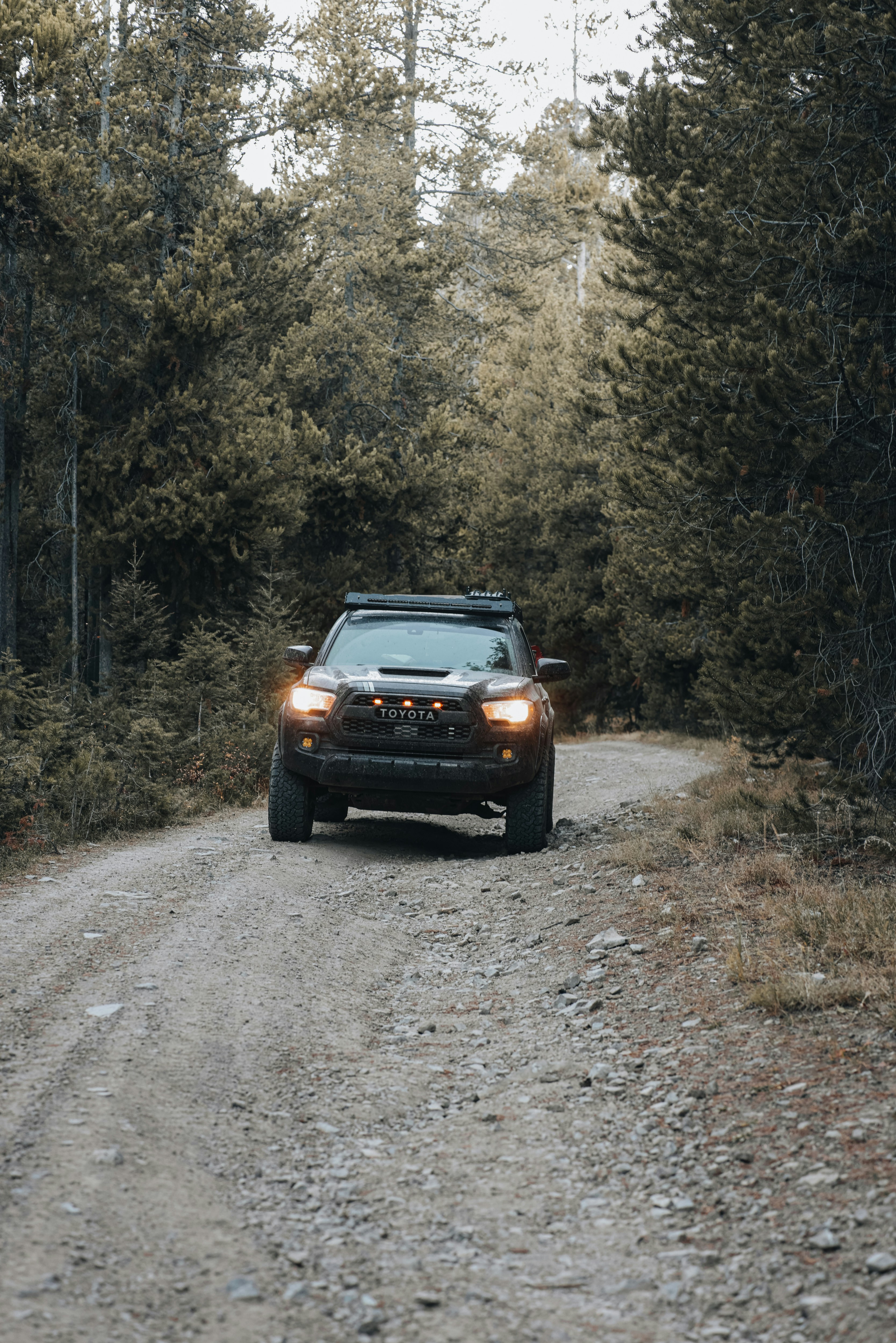 Photo by isaactmitchell