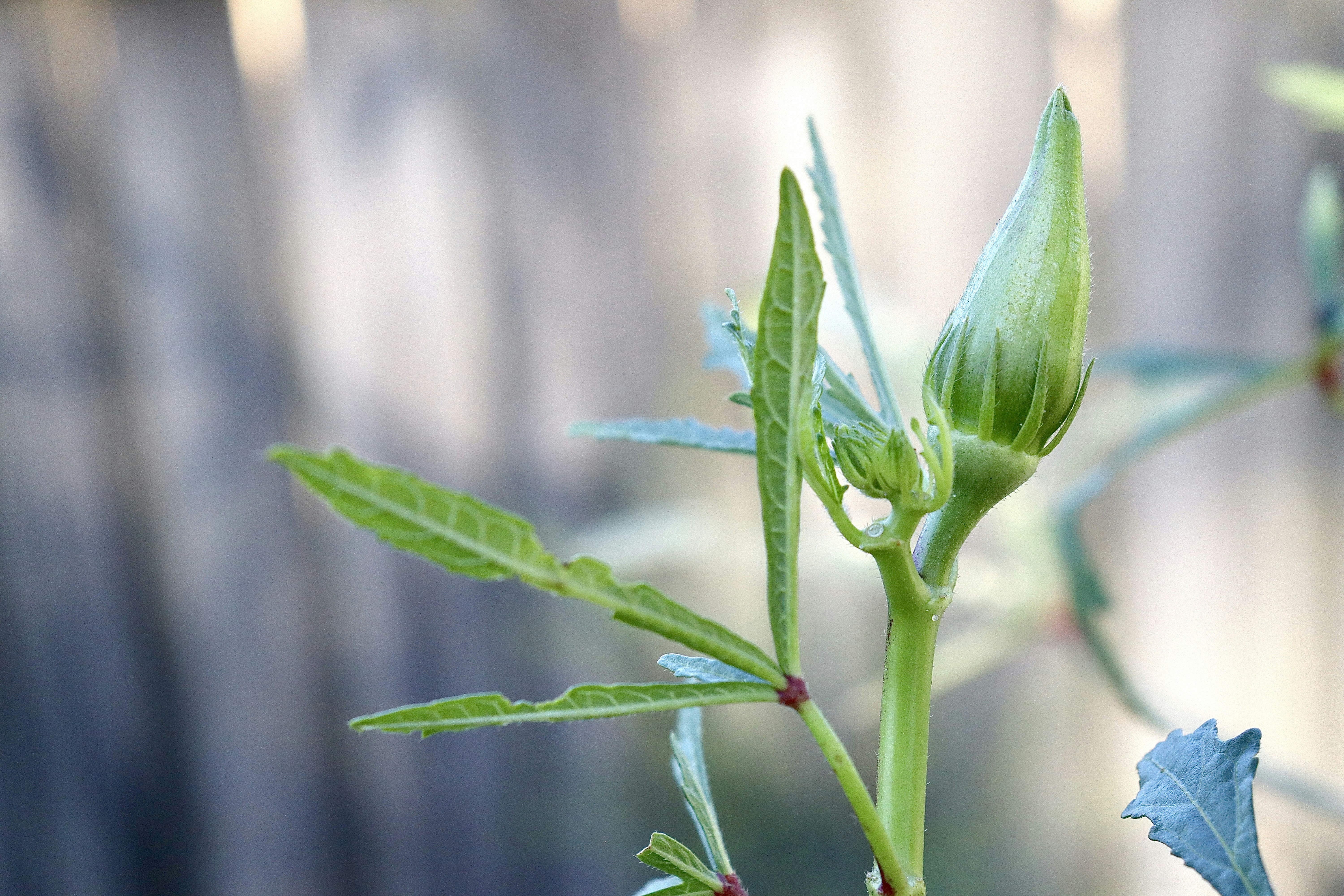 Photo by capturedbyk