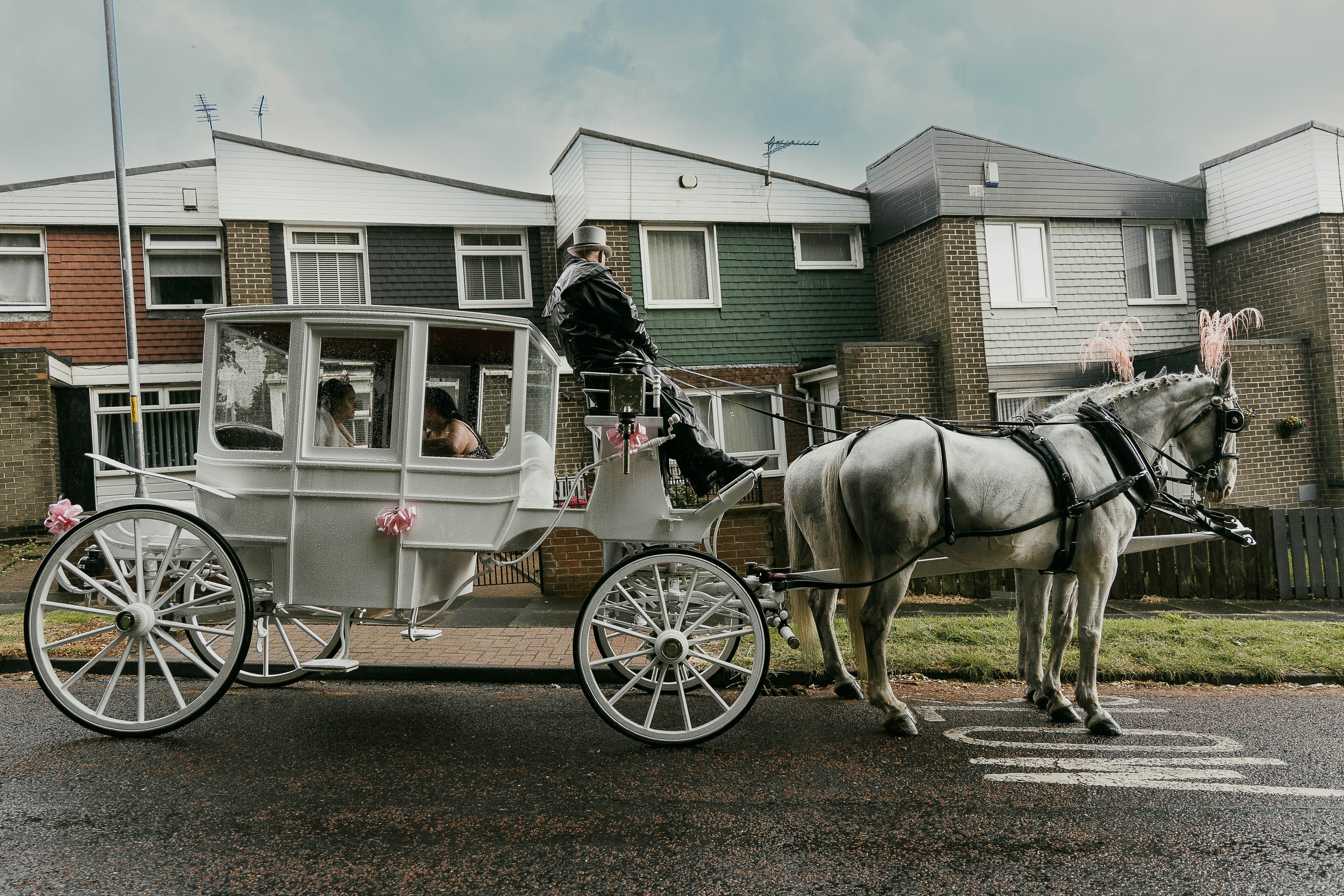 a horse pulls a carriage