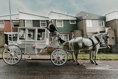 A white horse-drawn carriage with two passengers is being guided by a coachman down a suburban street. The carriage is adorned with pink decorations, and the horses are wearing bridles with pink plumes. In the background are uniform townhouses with brick and siding exteriors.