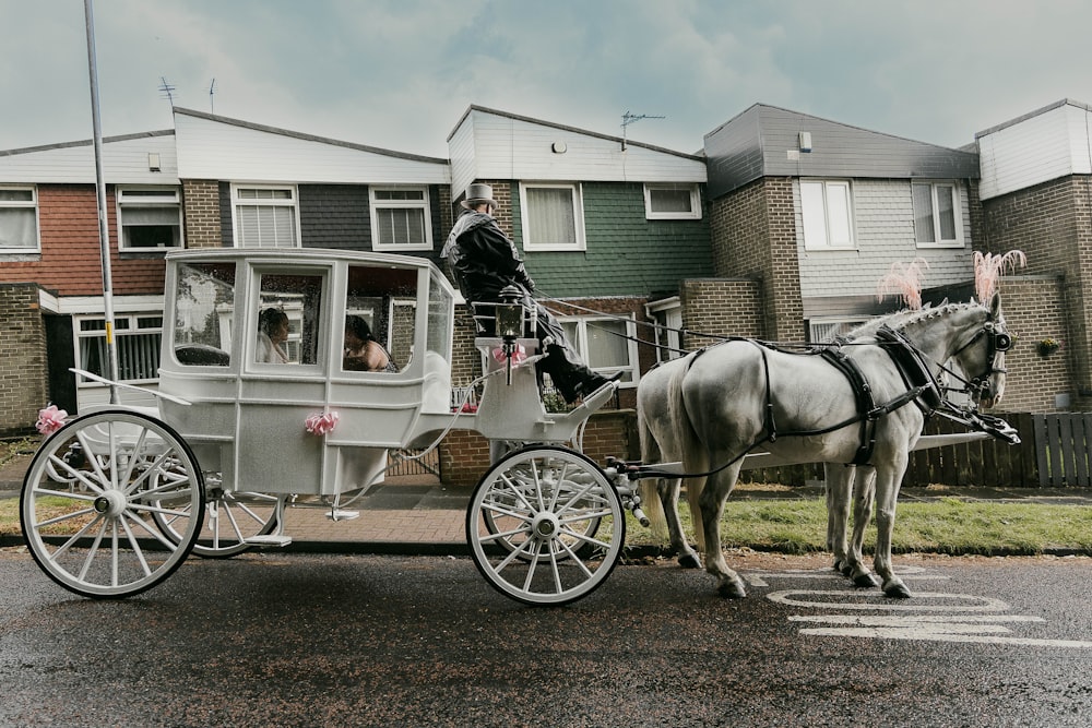 a horse pulls a carriage