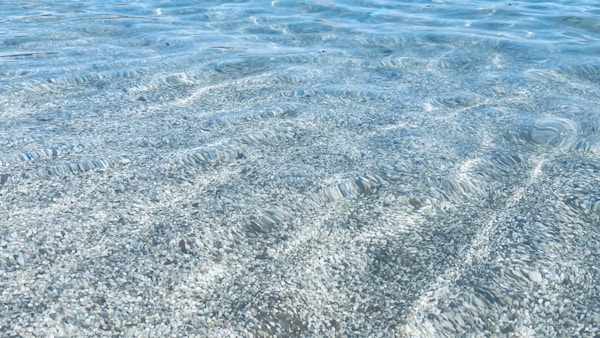 A body of water with ripples