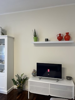 The interior of a living room features a minimalist white wall with a floating shelf holding a green plant and two red vases. Below is a sleek television on a white stand, displaying the Netflix logo. A white cabinet is positioned to the left, holding various items, and a leafy green plant in a pot rests on the floor nearby.