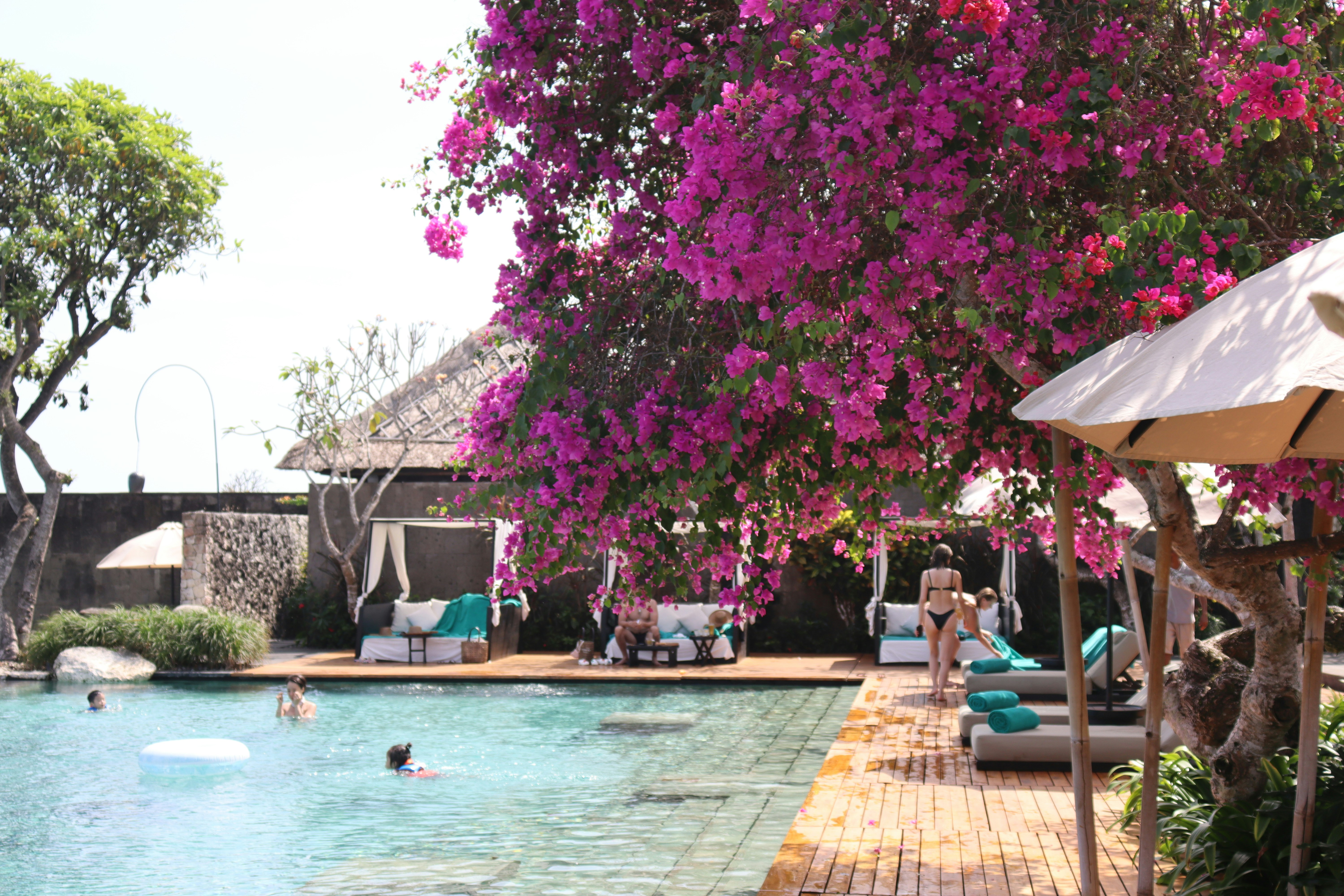 a pool with people in it and a tree with flowers on it