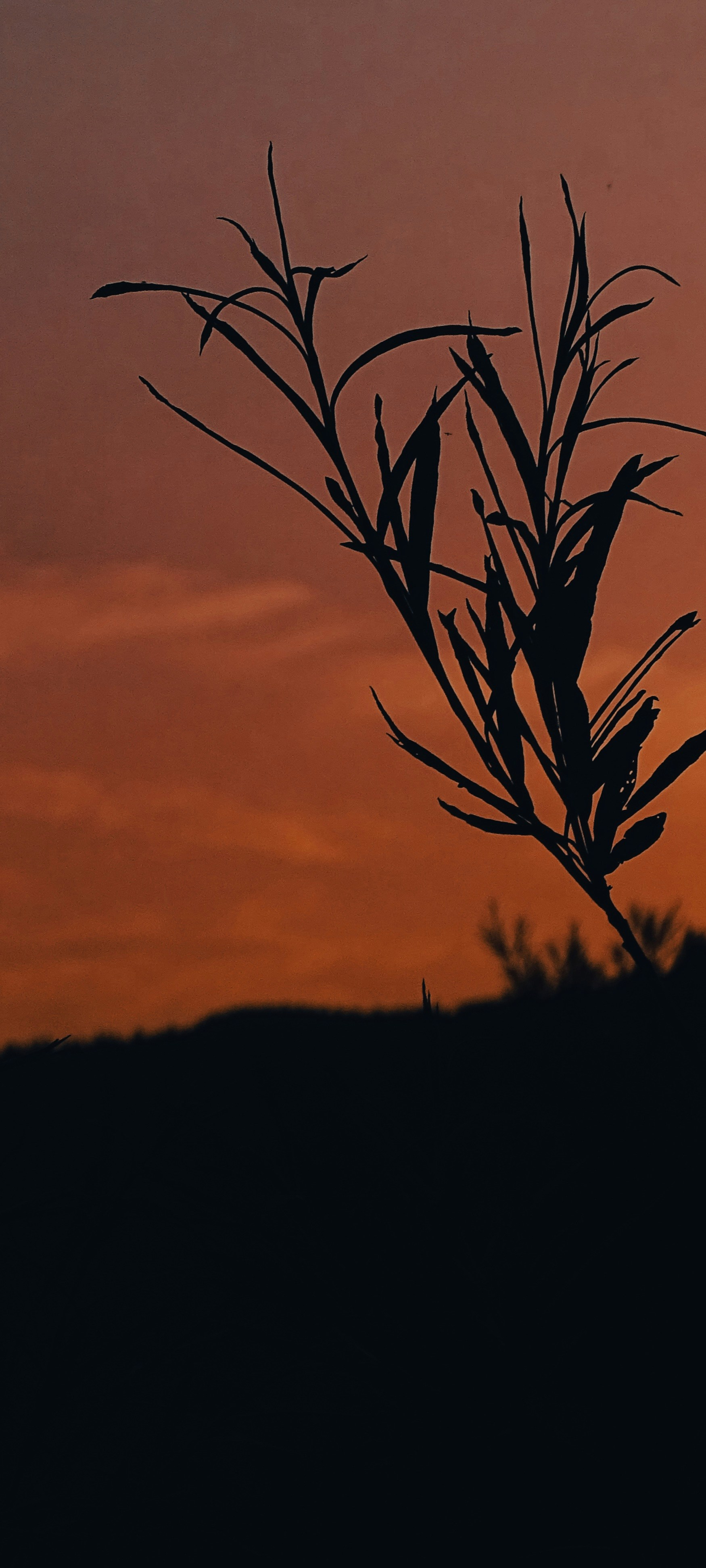 Photo by natalia_felix83