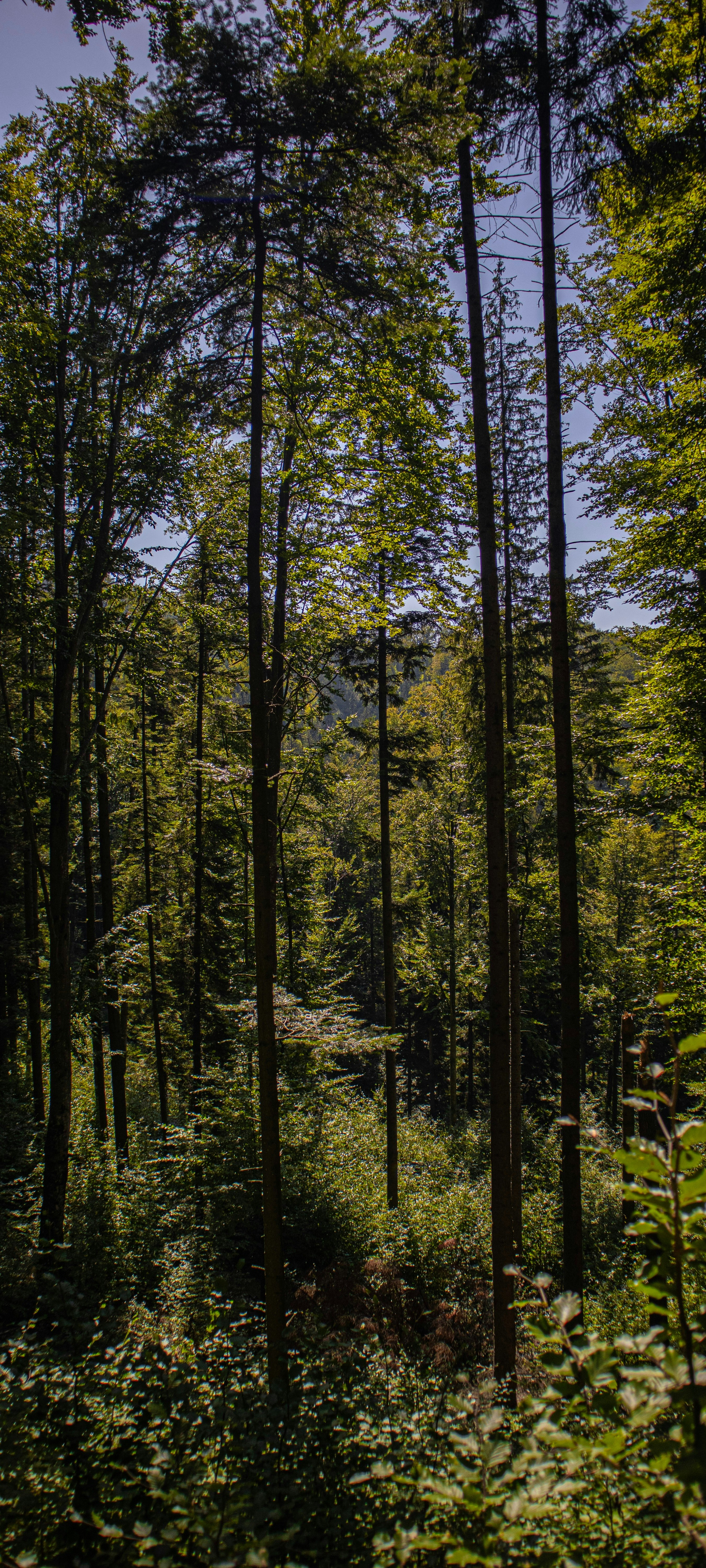 Photo by natalia_felix83