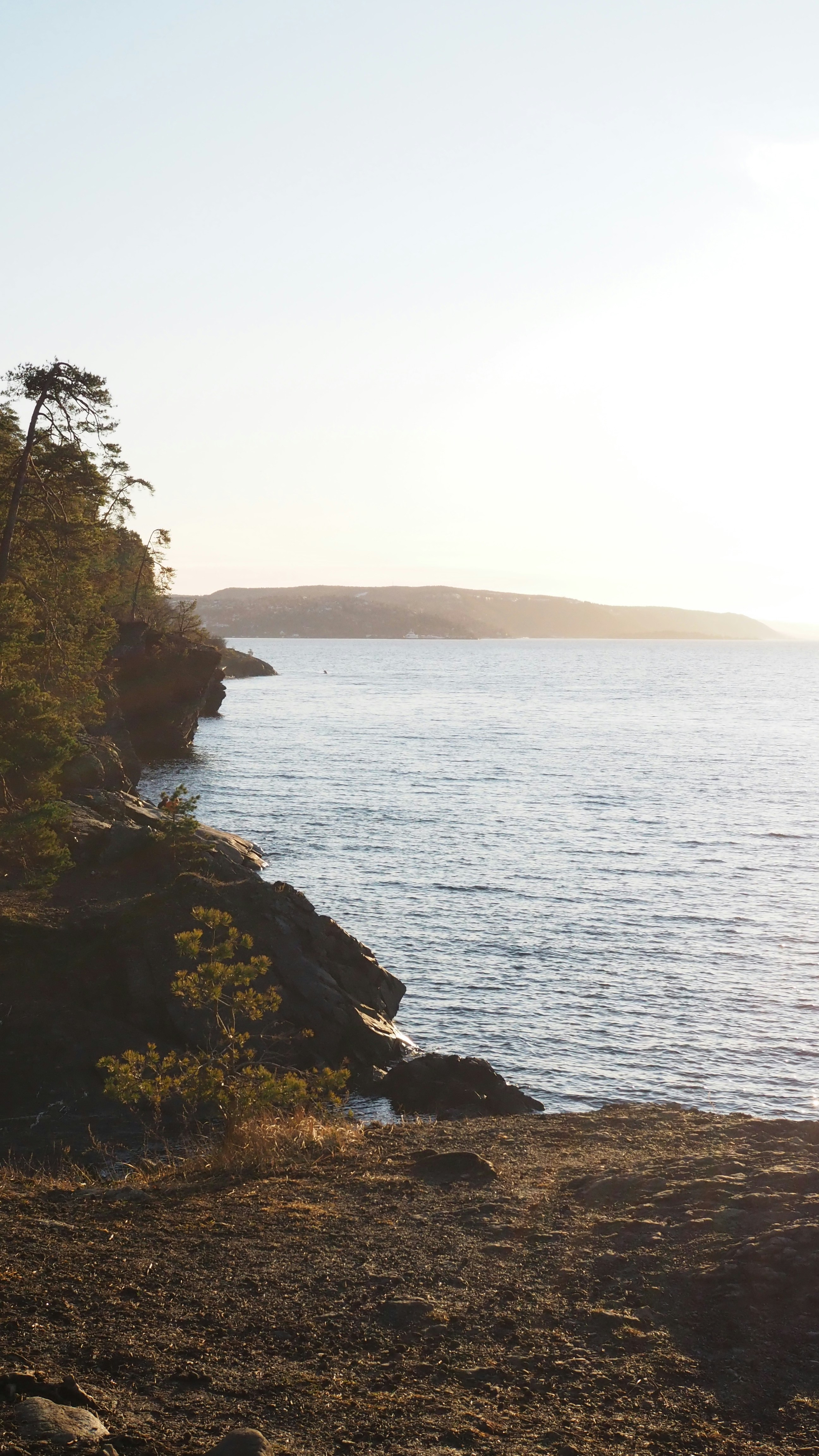 Photo by roar_skotte