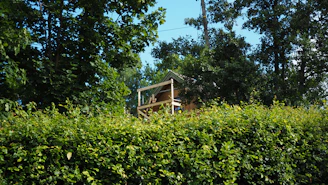 a house surrounded by trees