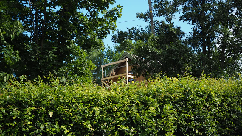 a house surrounded by trees