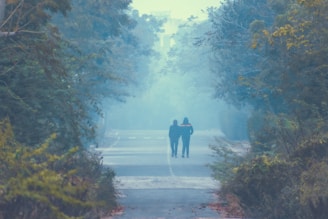 a group of people walking on a path in the woods