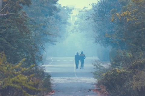 a group of people walking on a path in the woods