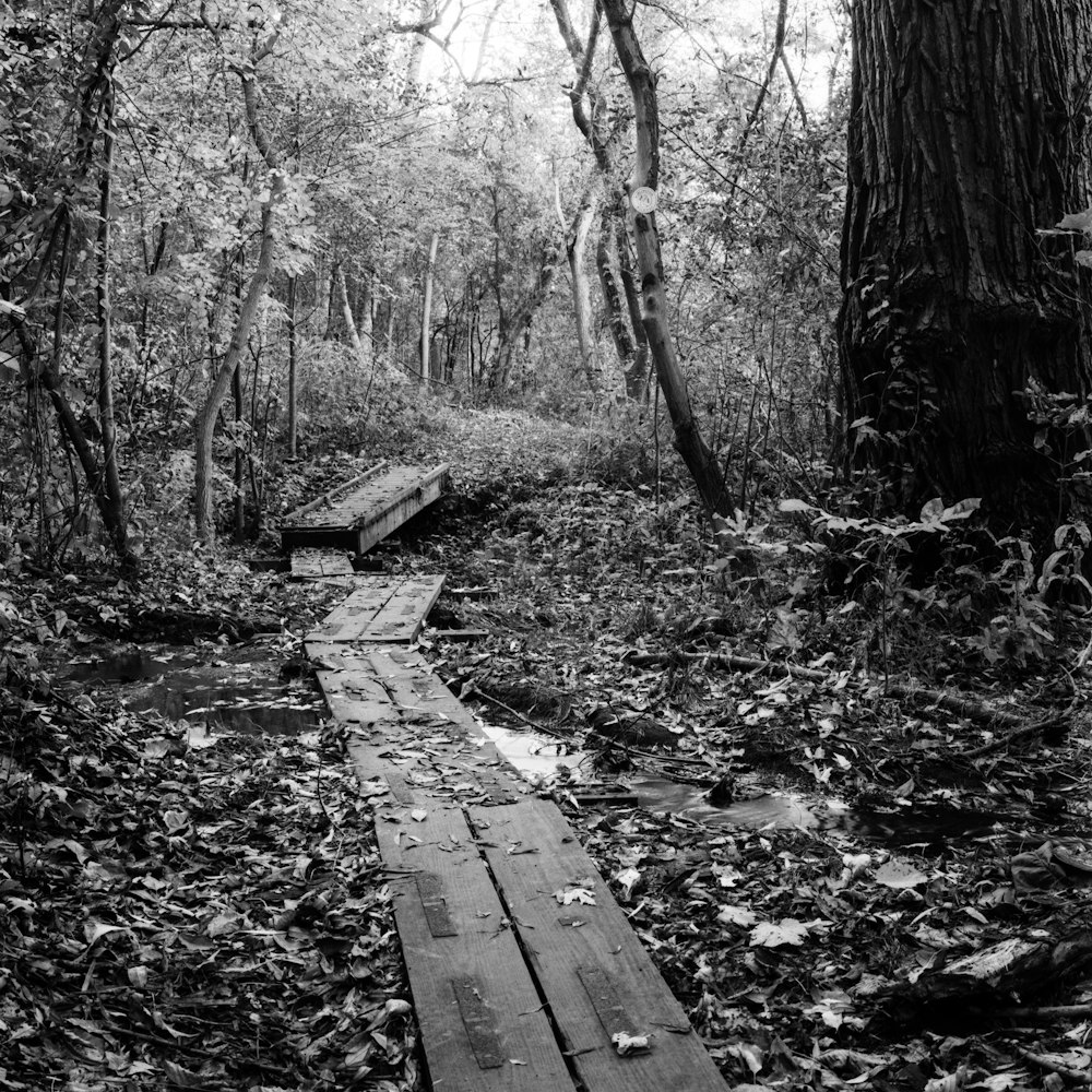 a wooden bridge in the woods