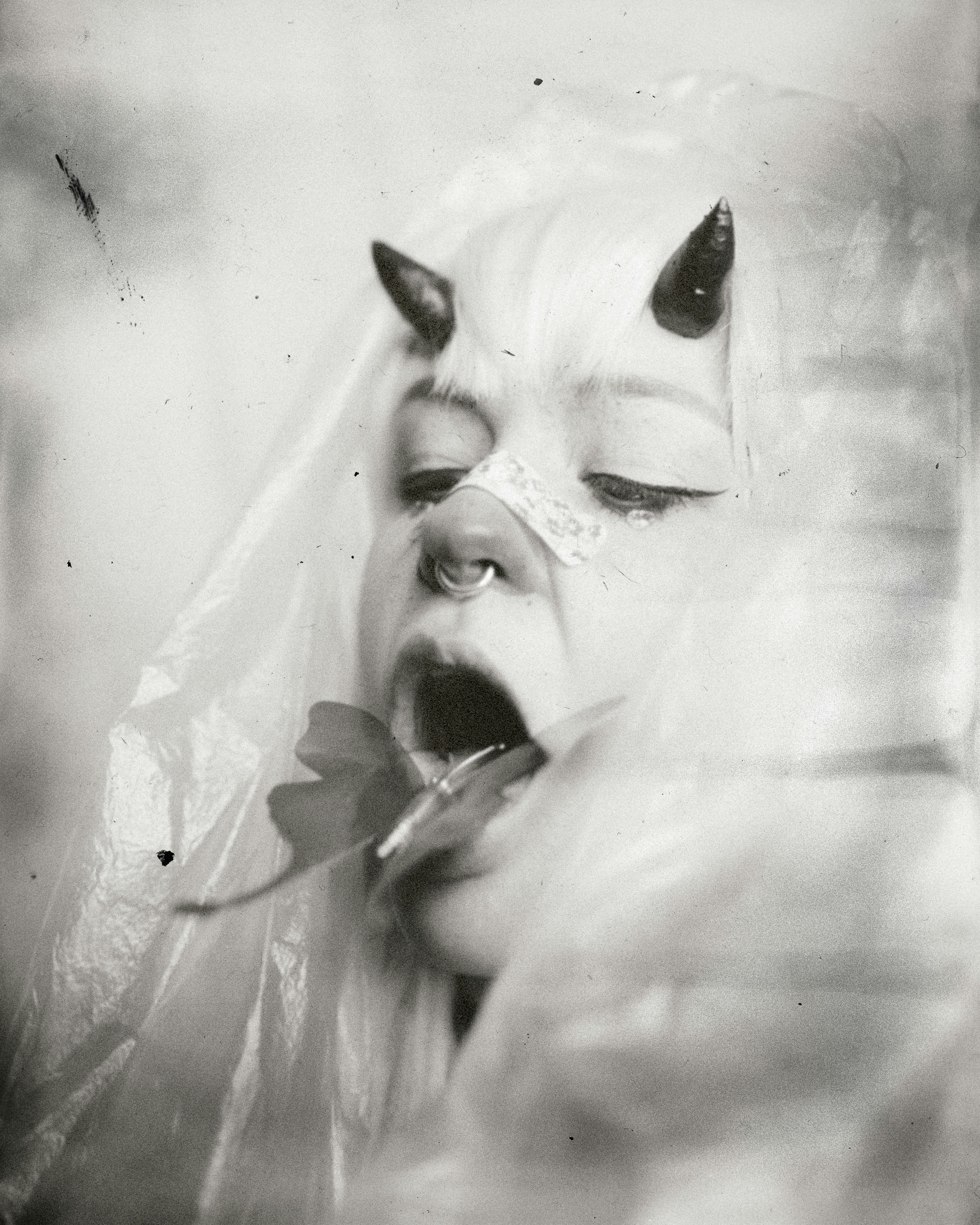 Photo by darkindigo88