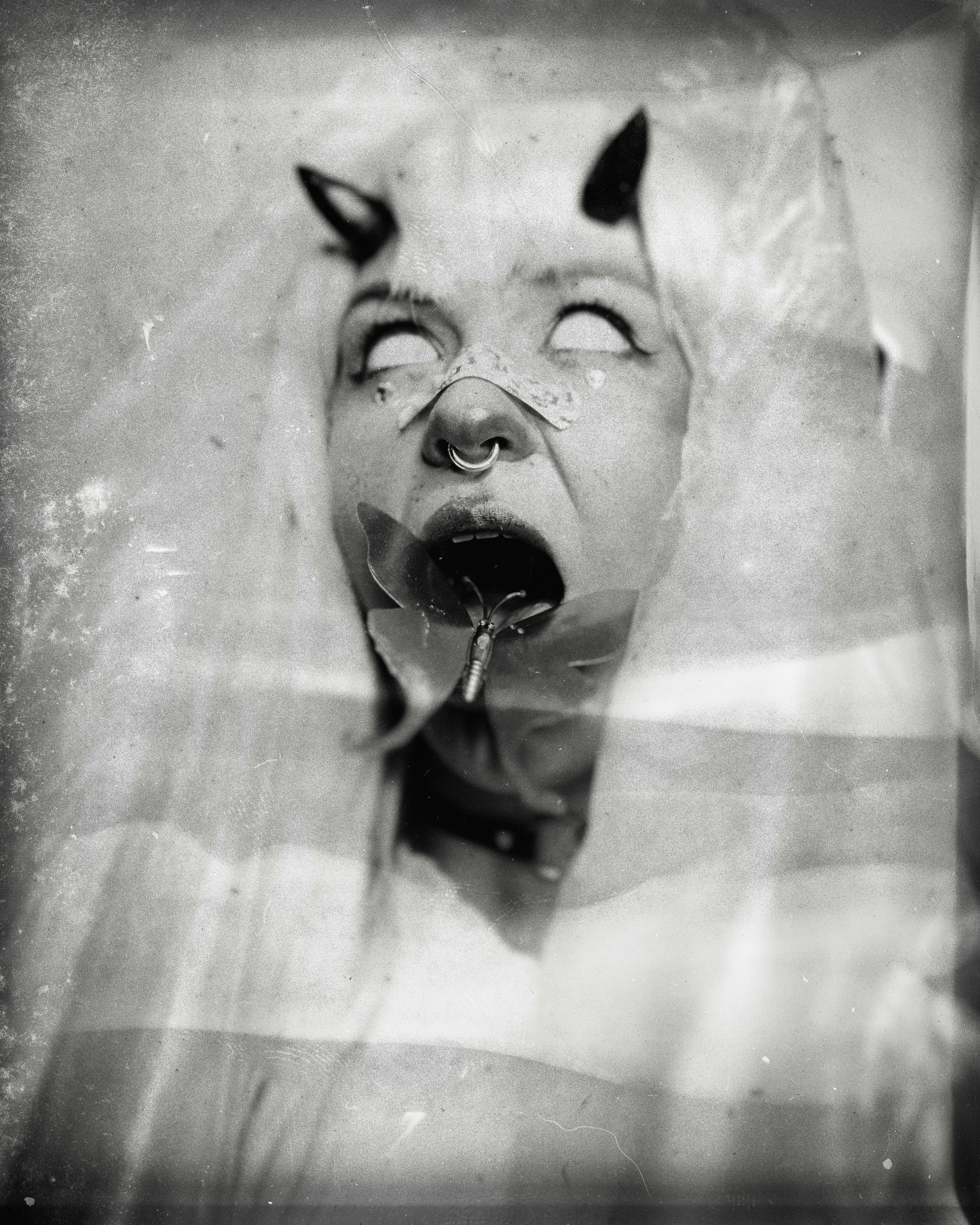 a cat with a microphone