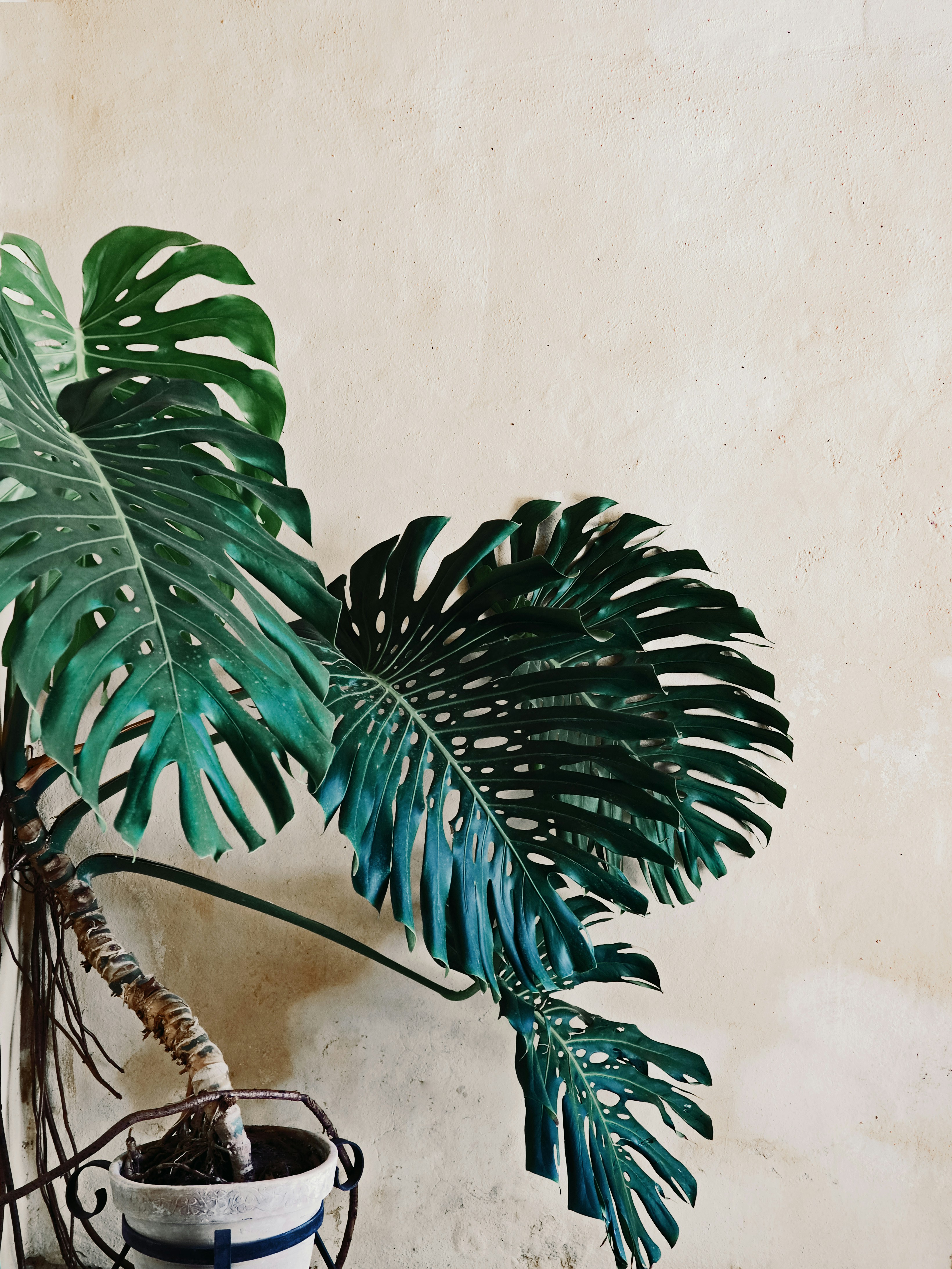 Photo by el_morillas