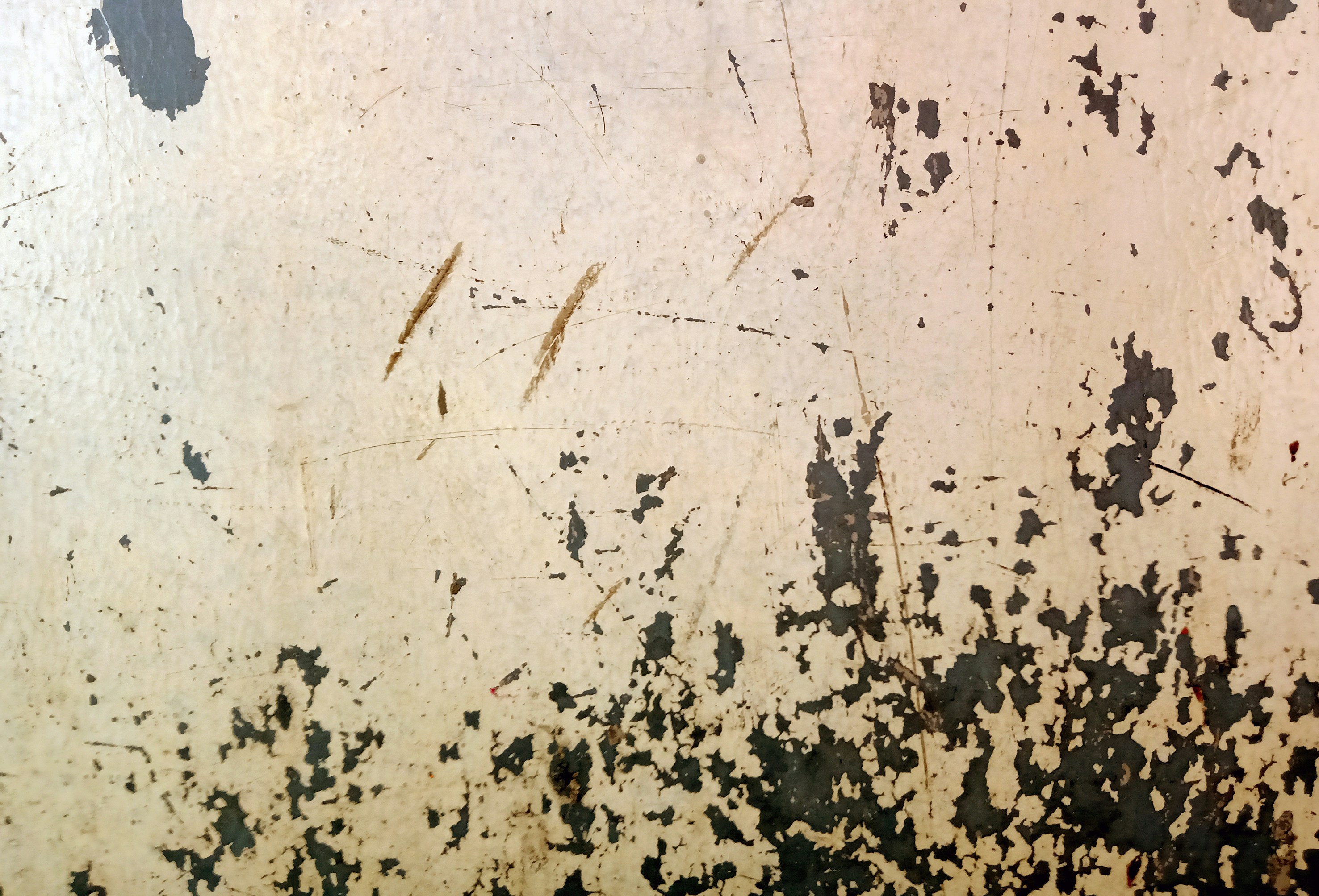 Photo by askarasvarga