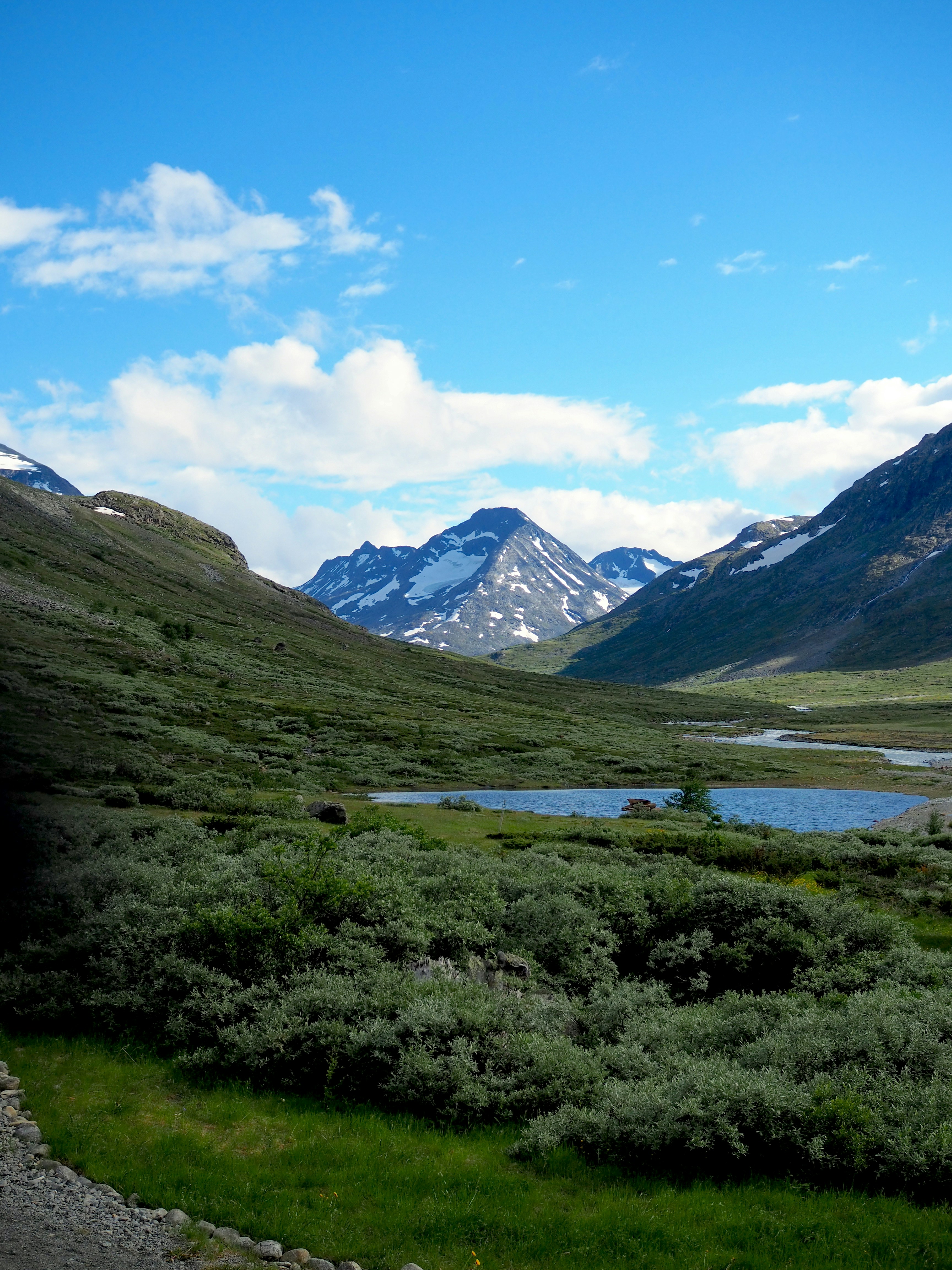 Photo by roar_skotte