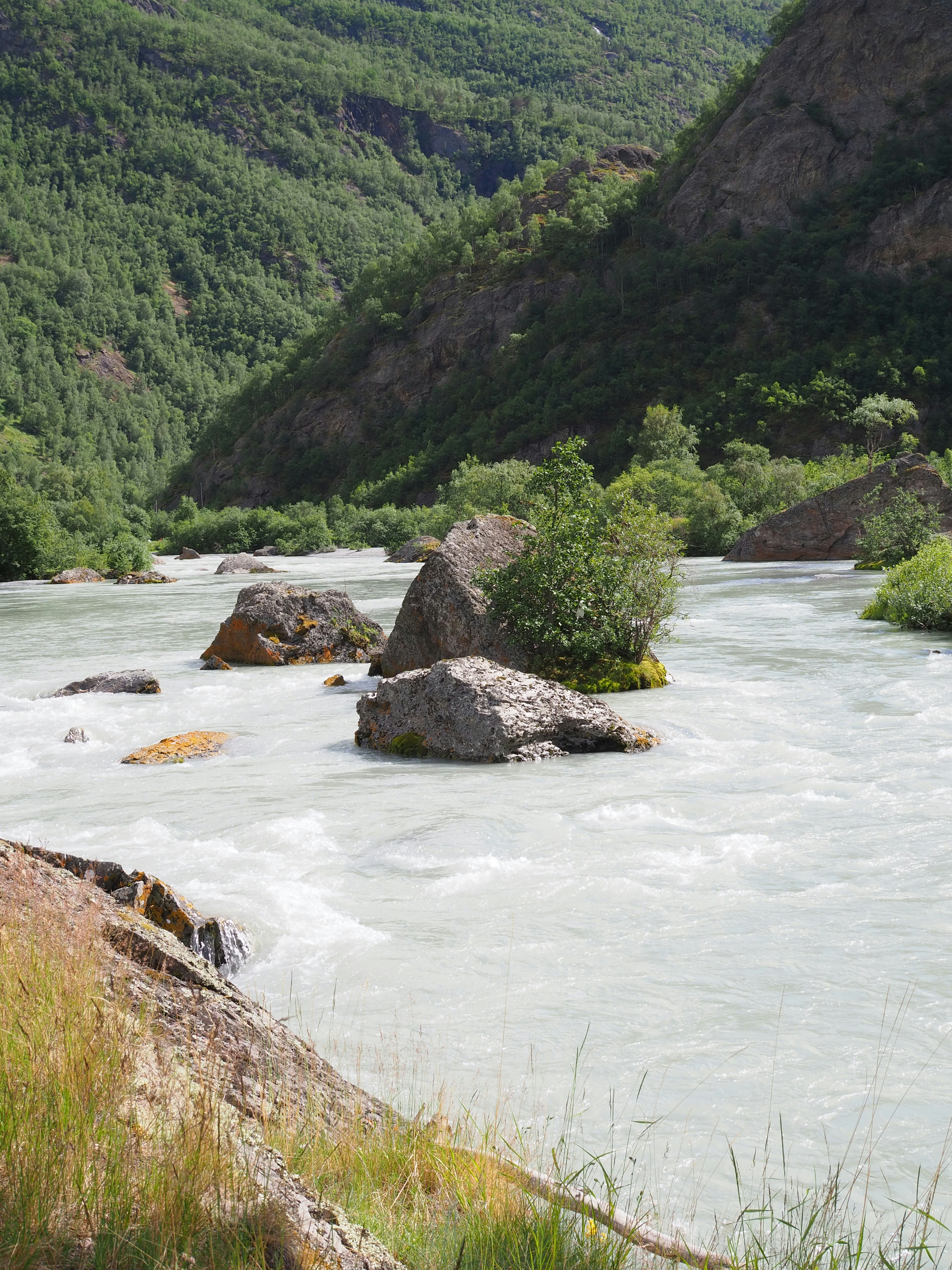 Un fiume con rocce e alberi