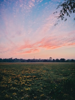 A serene landscape with a calm blue sky and gentle yellow flowers in the foreground, symbolizing hope and recovery.