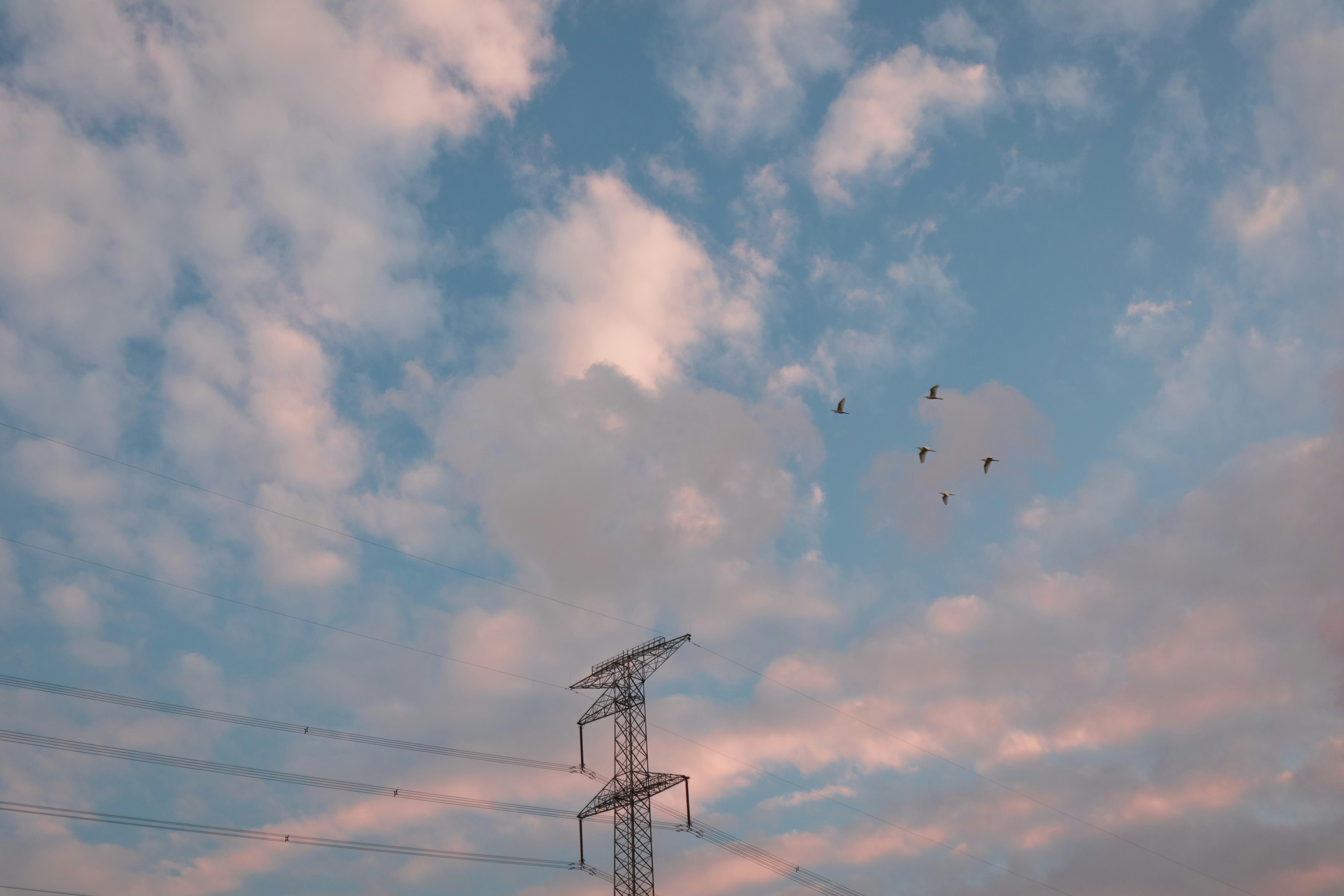 Photo by irish83