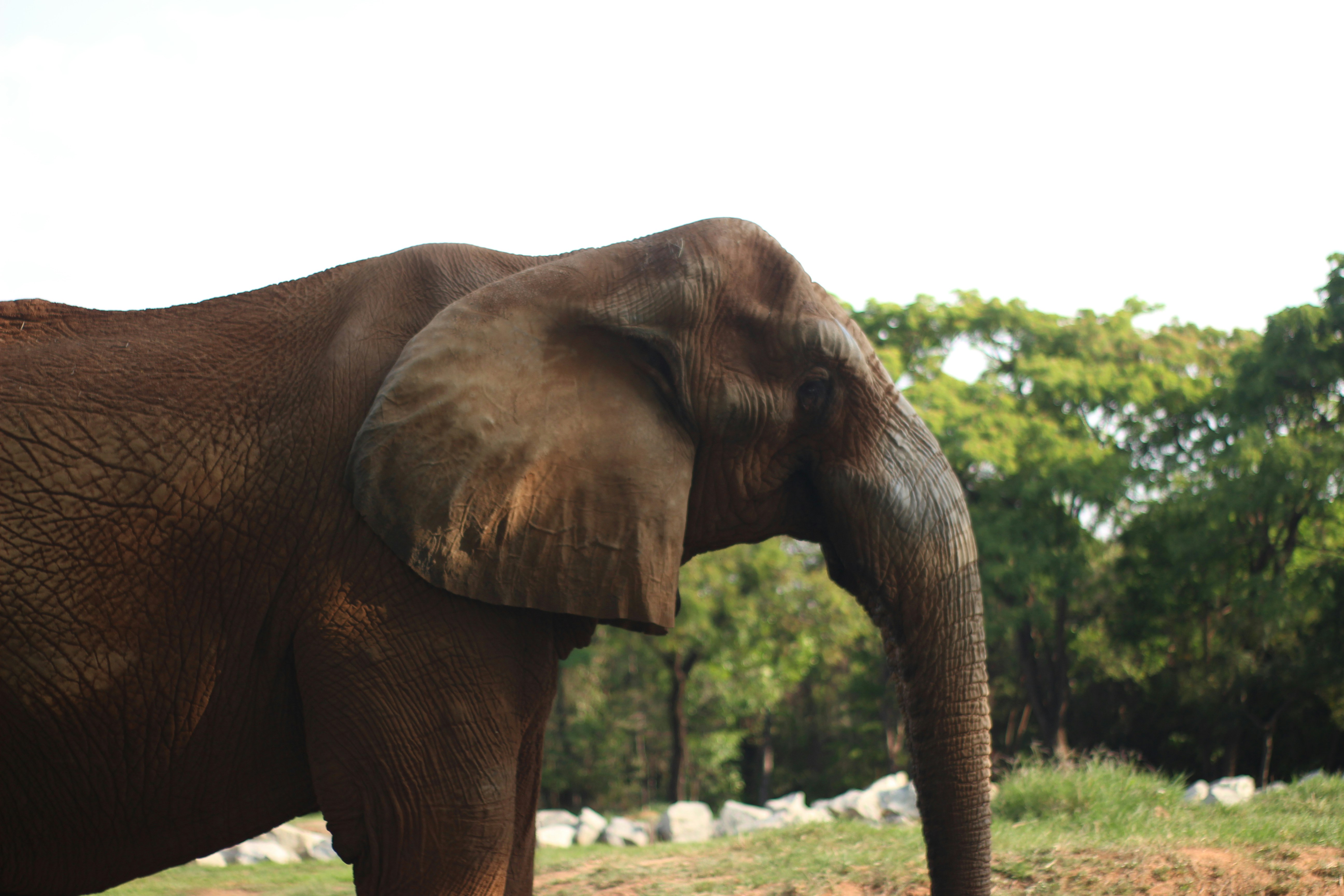 Photo by otaciliomaia