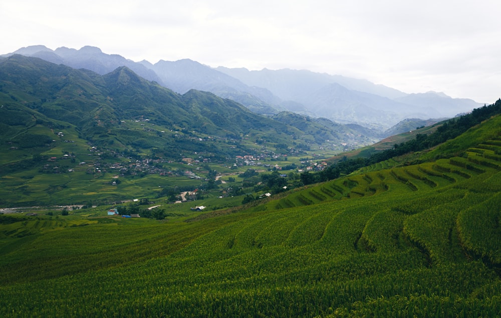 a valley with houses in it