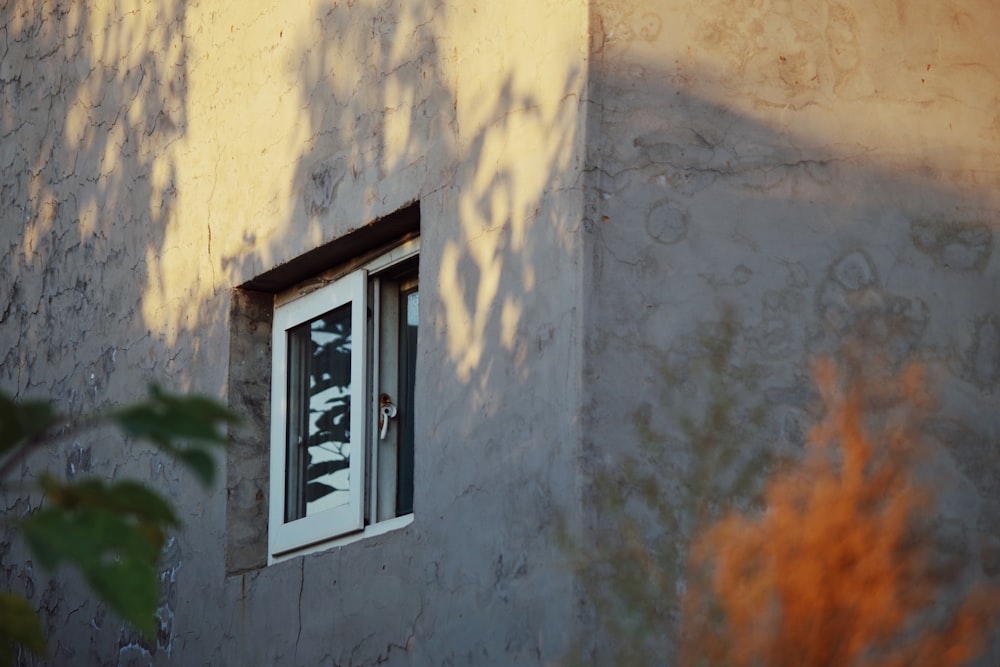 a person looking out a window