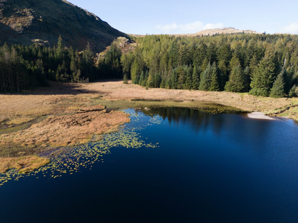 Un lago circondato da alberi e montagne