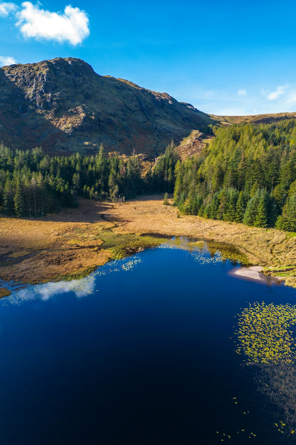 a lake surrounded by trees and mountains