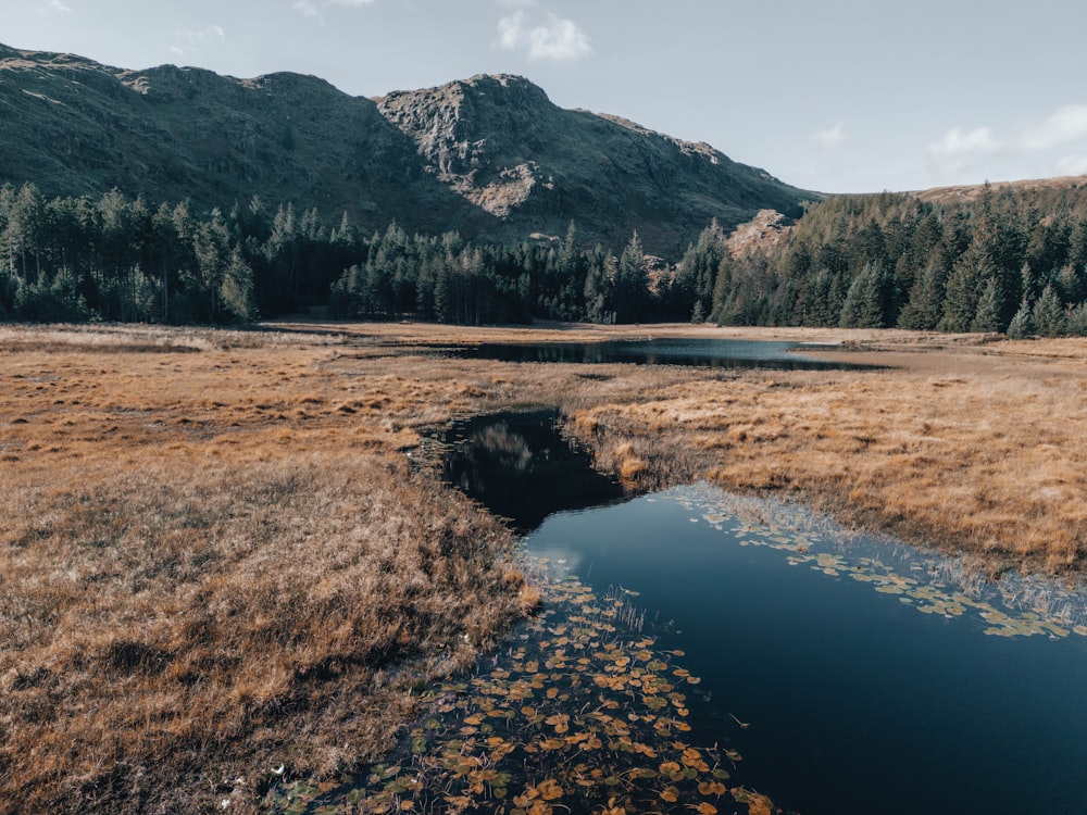 a river with a mountain in the background